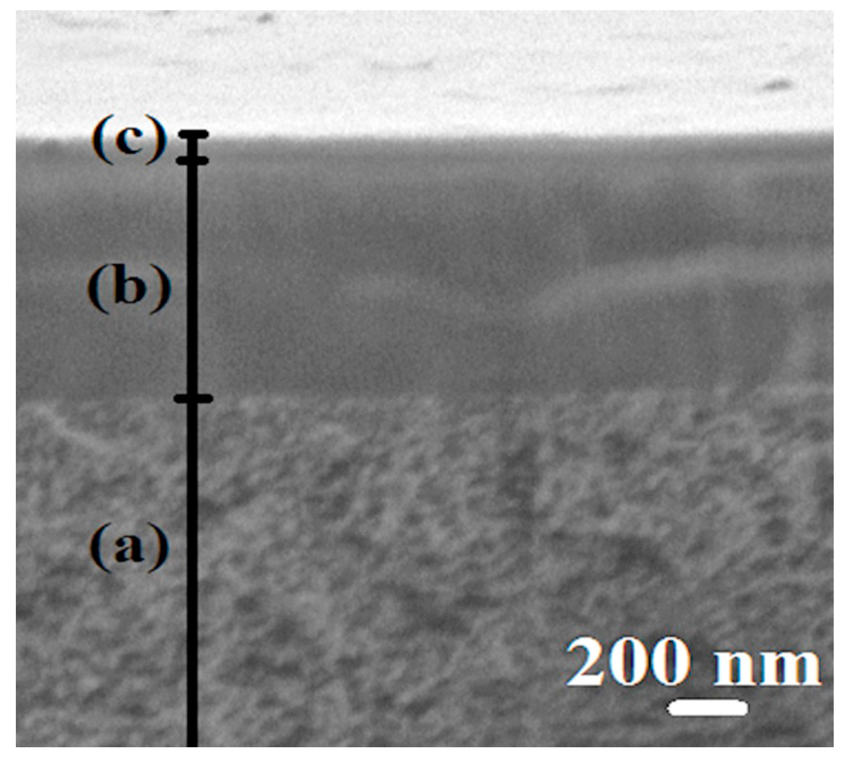 Polymers 12 00014 g011