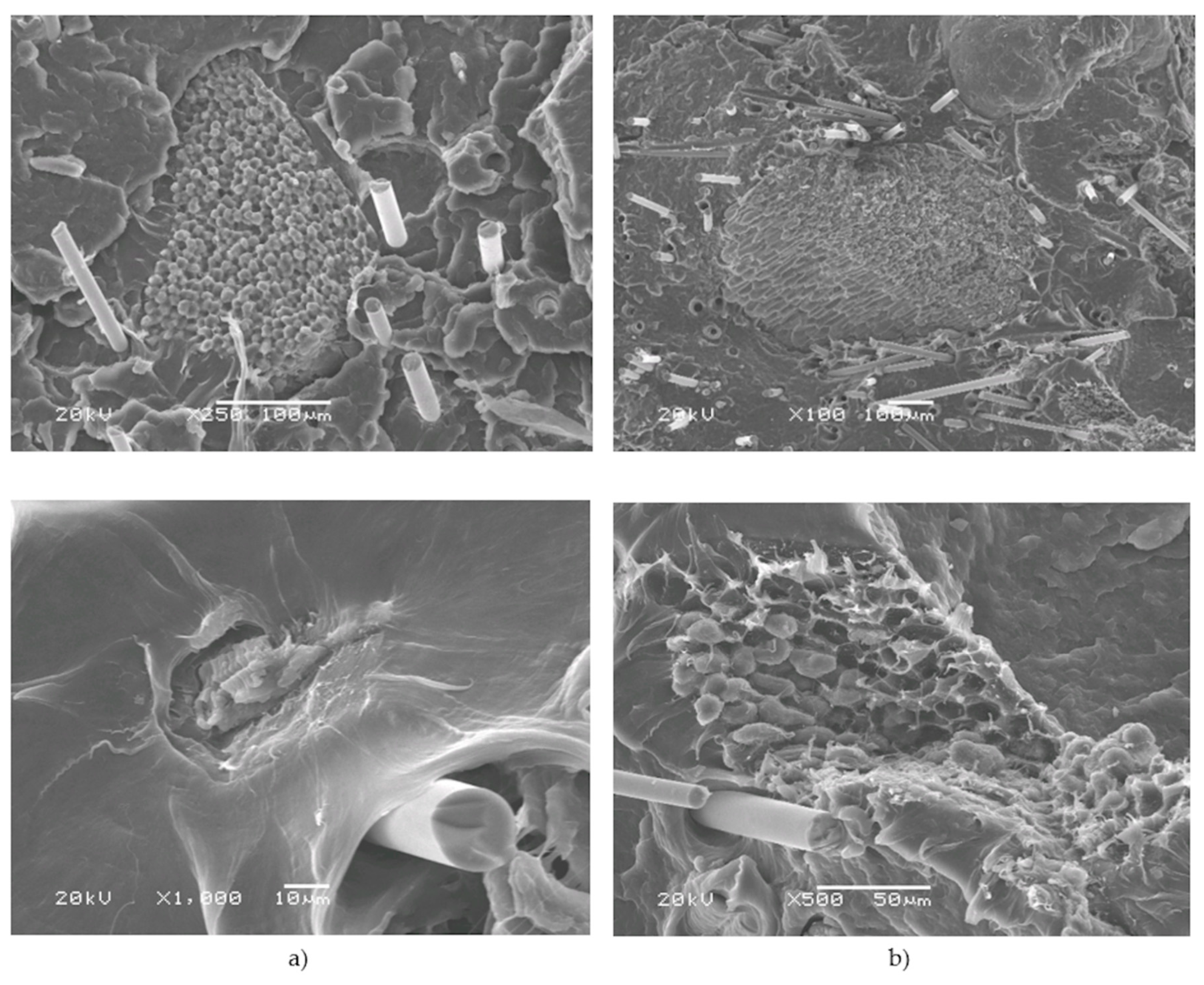 Polymers 12 00018 g011 550