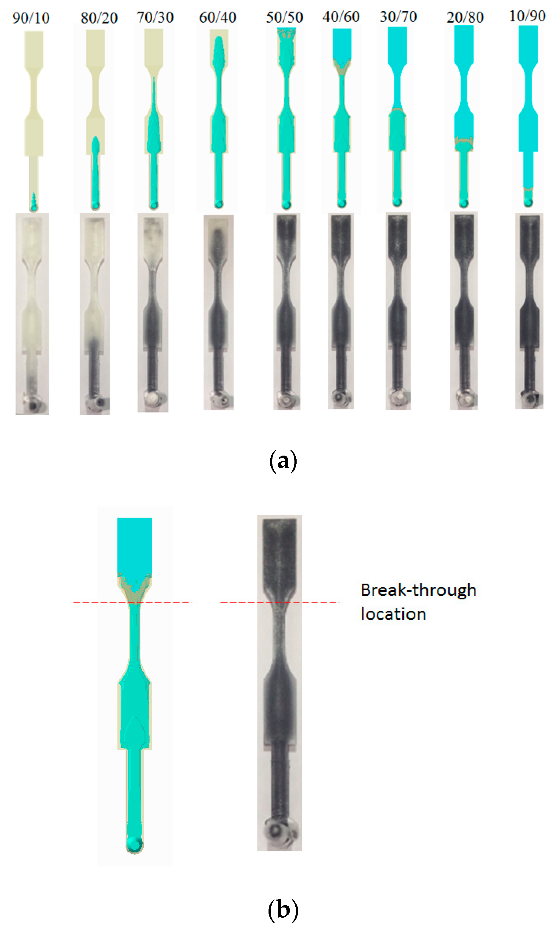 Polymers 12 00024 g011