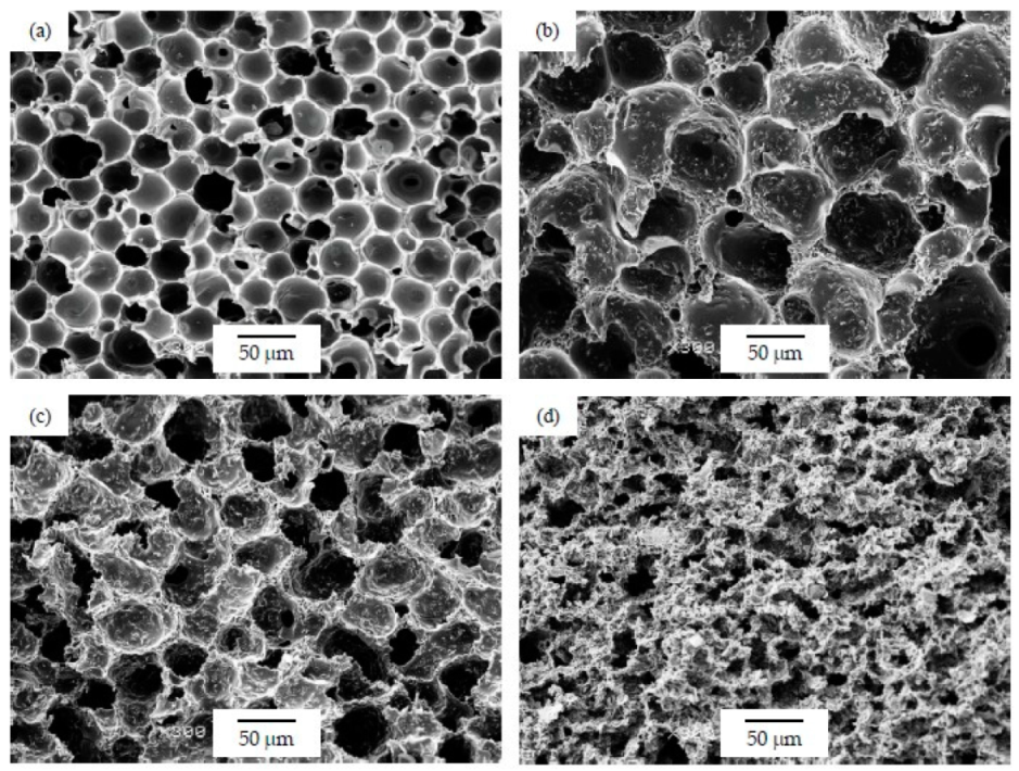 Polymers 12 00025 g003