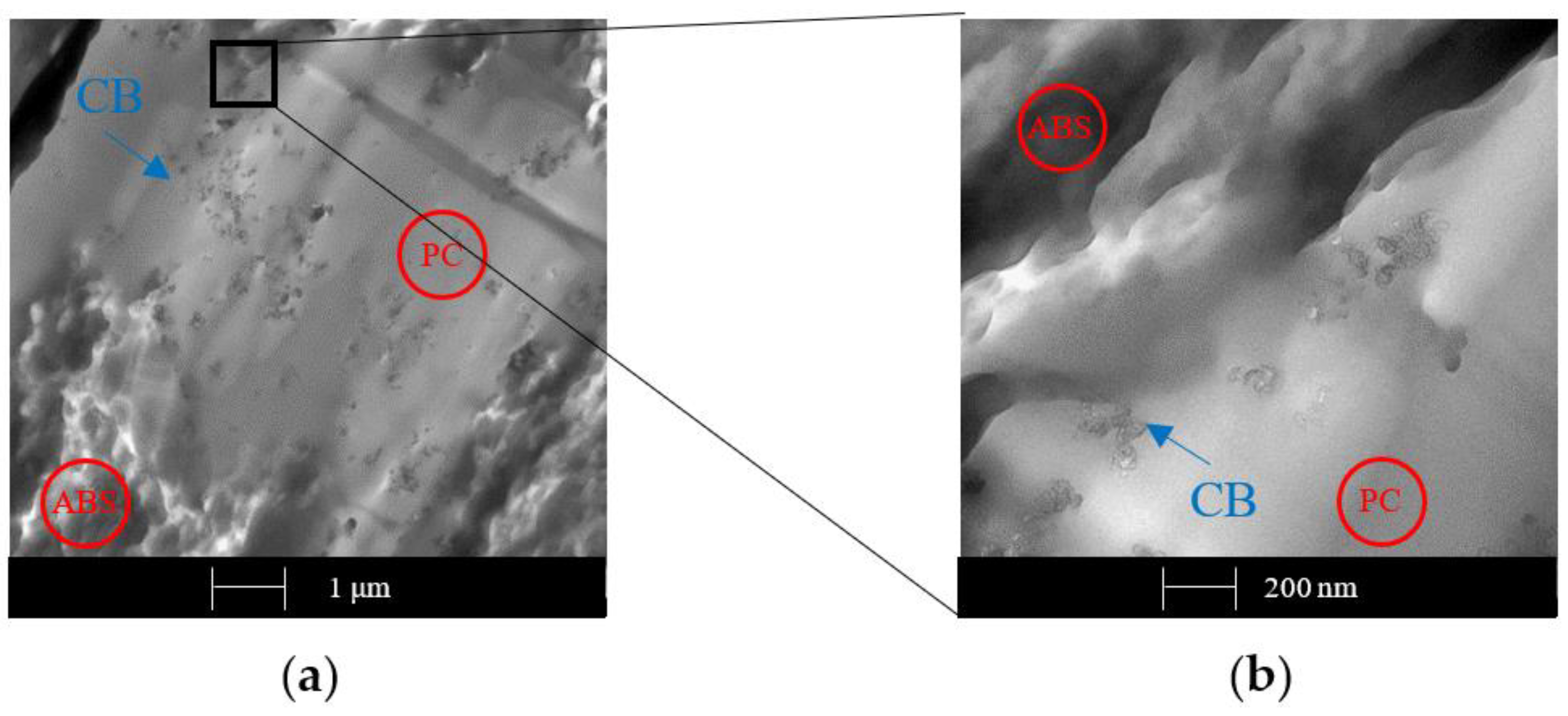 Polymers 12 00029 g014