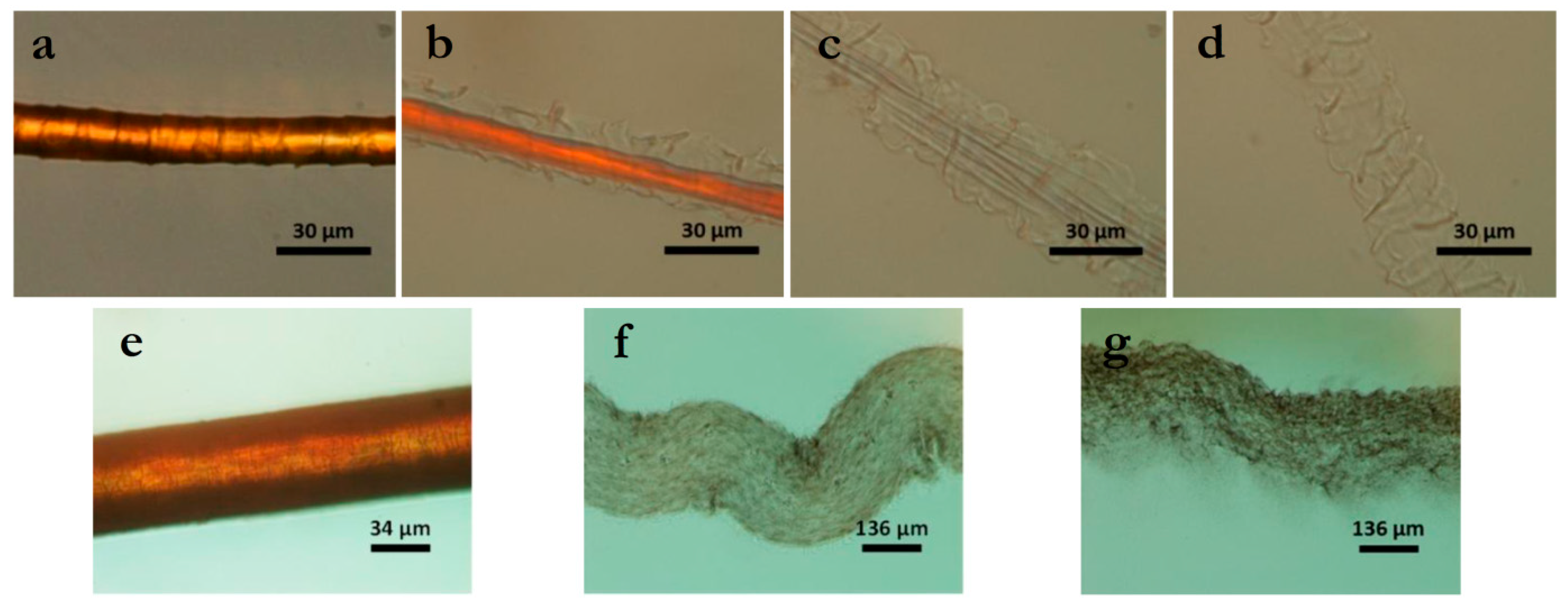 Polymers Free Full Text Keratin Associations With Synthetic