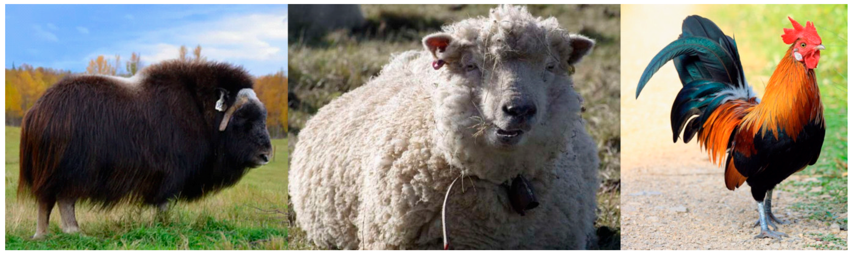 Polymers 12 00032 g008 Polymers 12 00032 g008