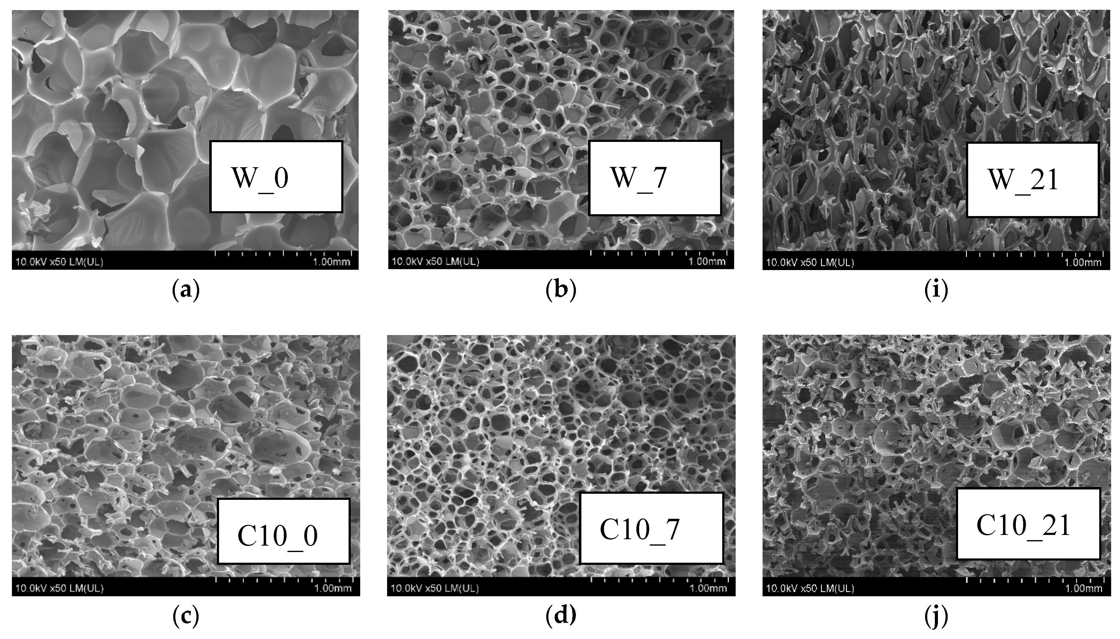 Polymers 12 00033 g006a Polymers 12 00033 g006a