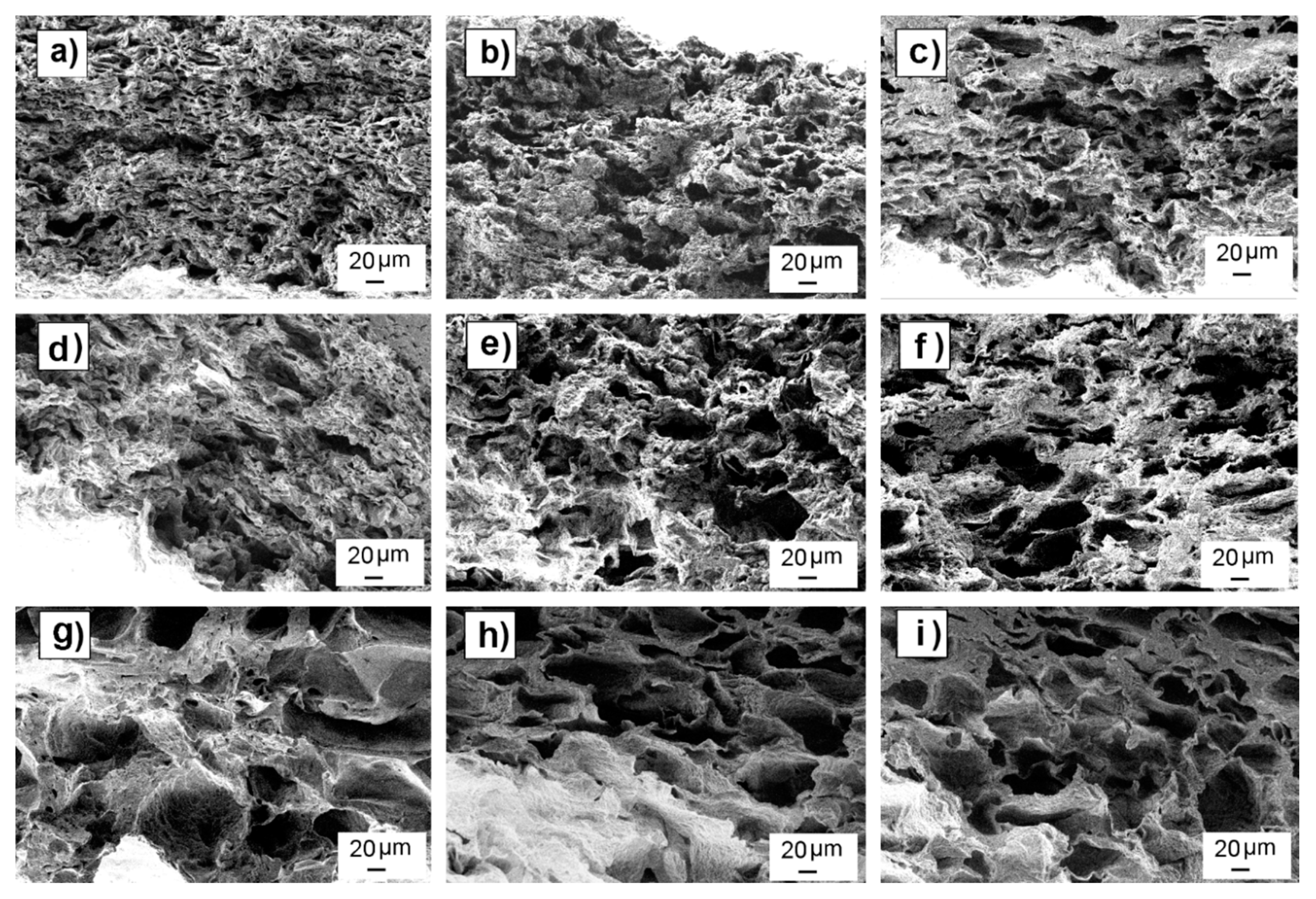 Polymers 12 00034 g002 Polymers 12 00034 g002