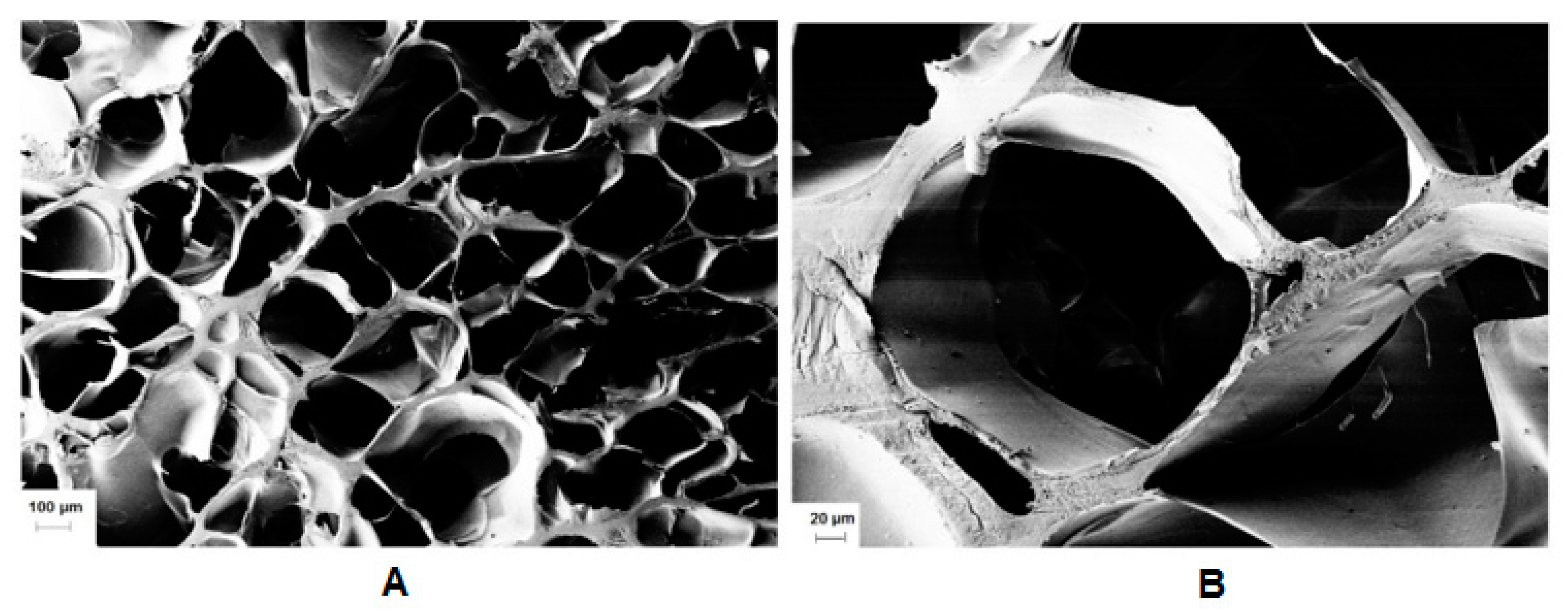 Polymers 12 00035 g008 Polymers 12 00035 g008