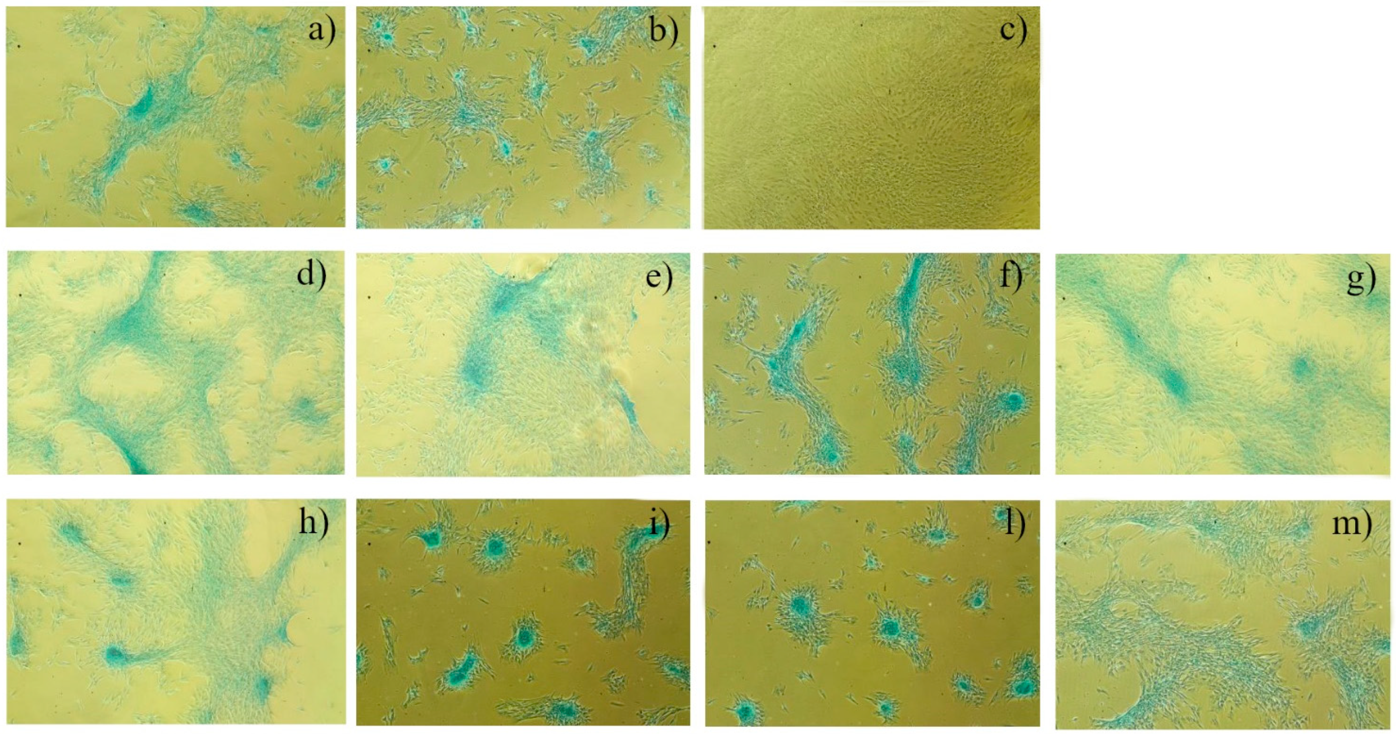 Polymers 12 00037 g004