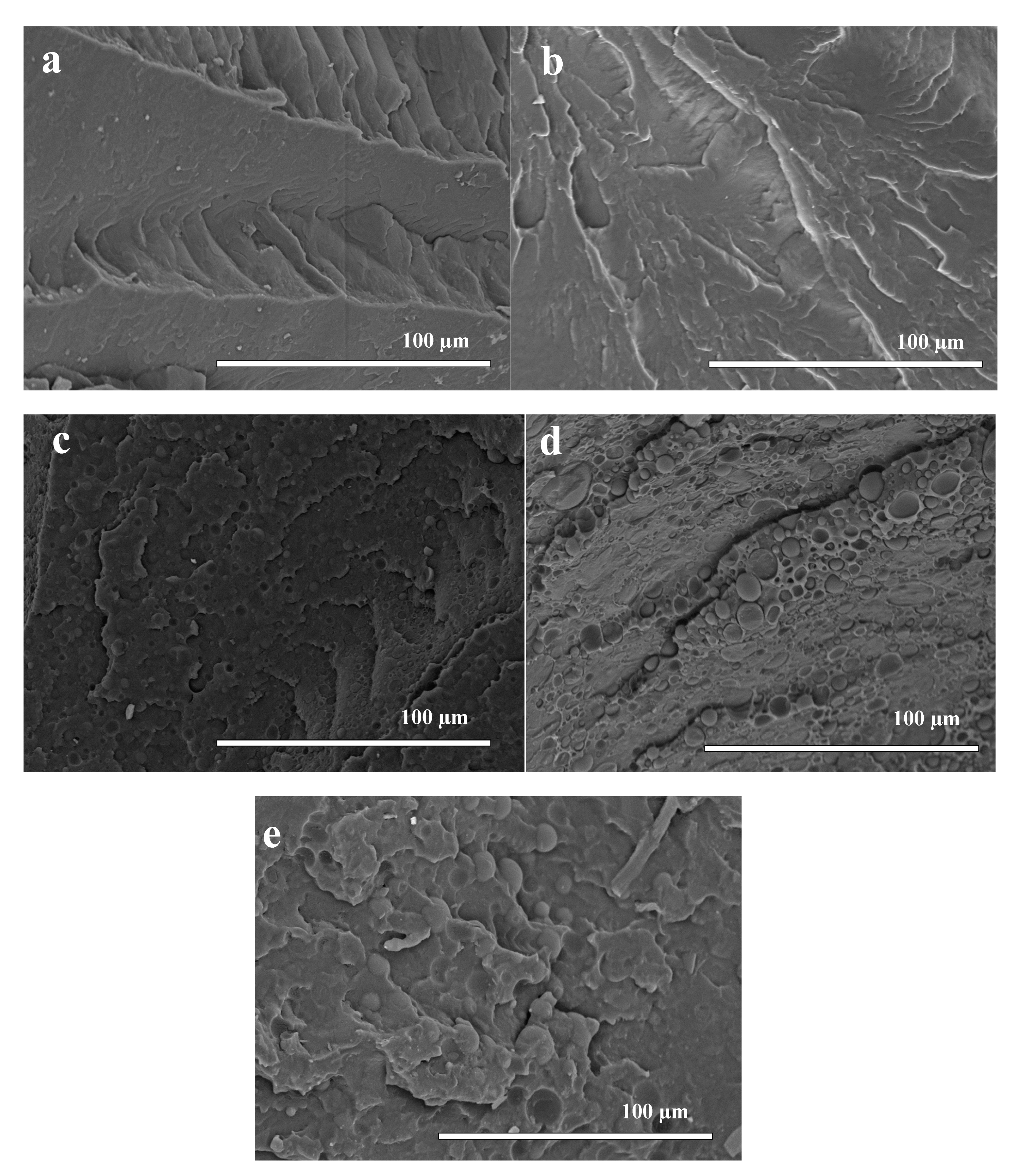 Polymers 12 00038 g001 Polymers 12 00038 g001
