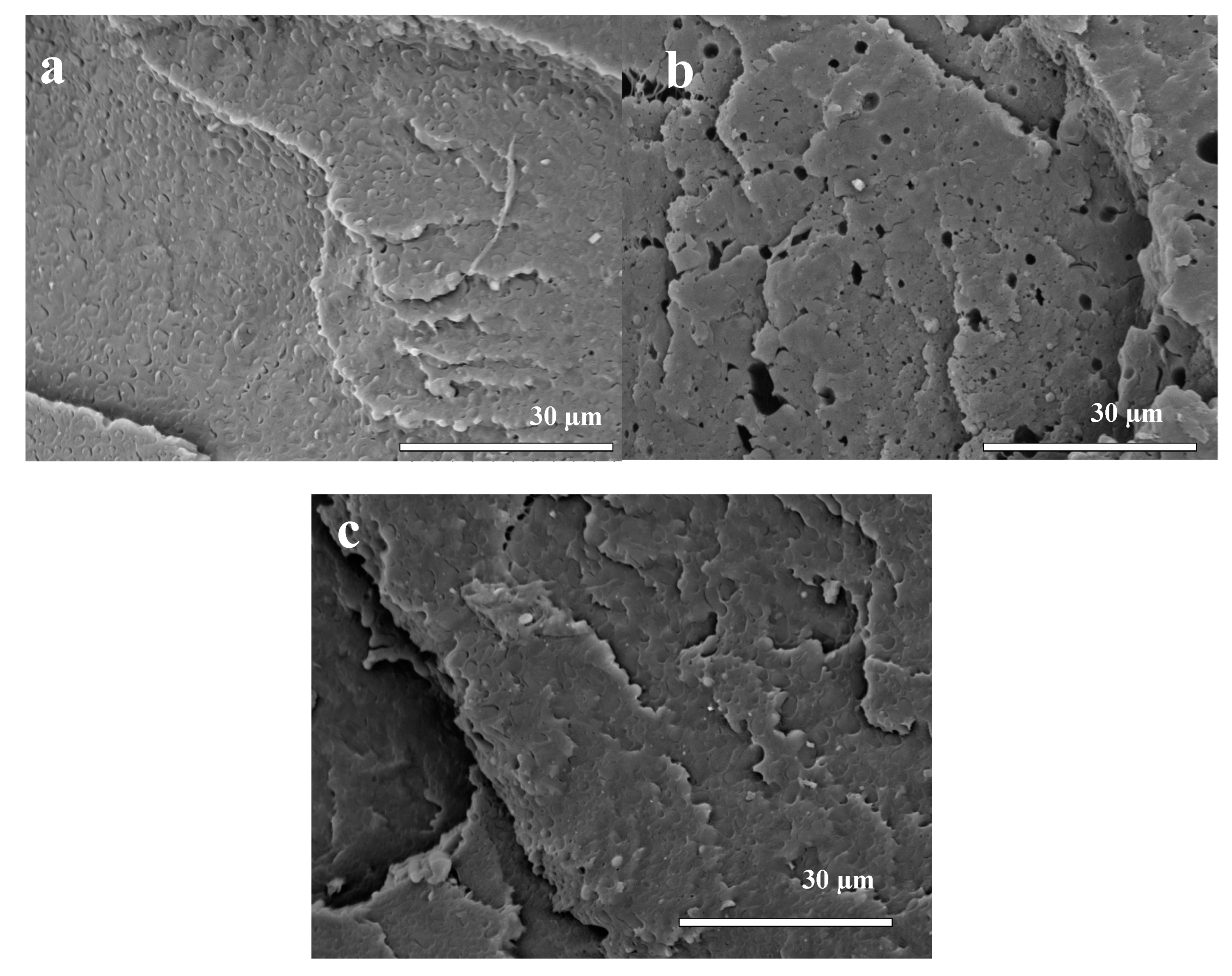 Polymers 12 00038 g002 Polymers 12 00038 g002