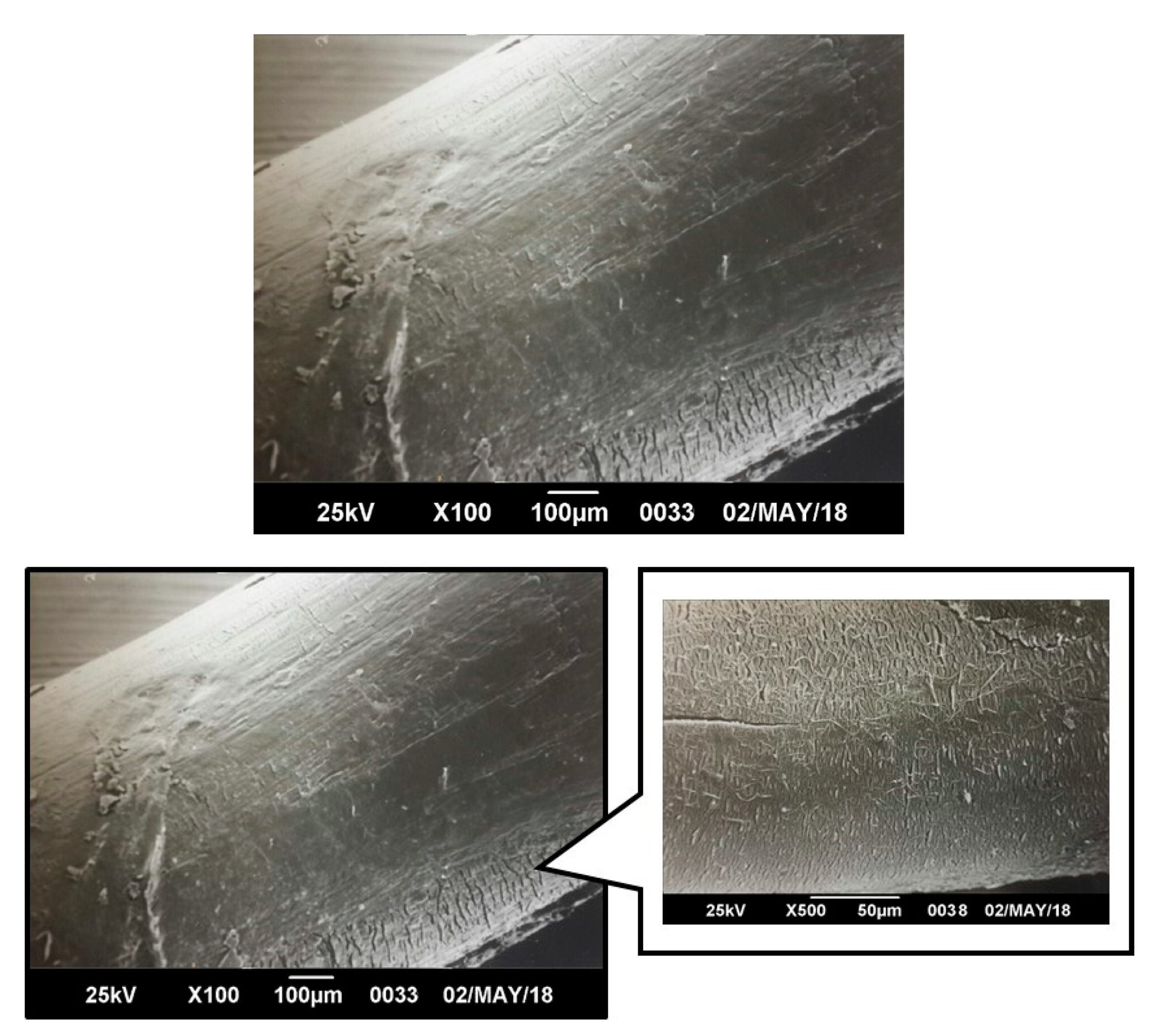 Polymers 12 00038 g015 Polymers 12 00038 g015