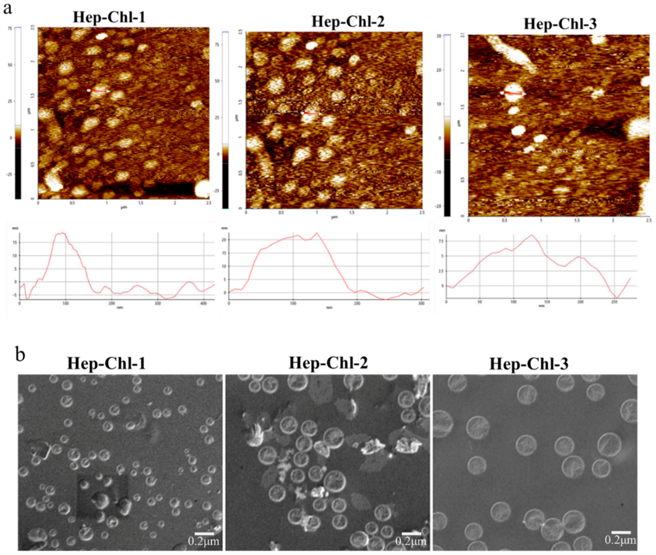 Polymers 12 00043 g004a Polymers 12 00043 g004a