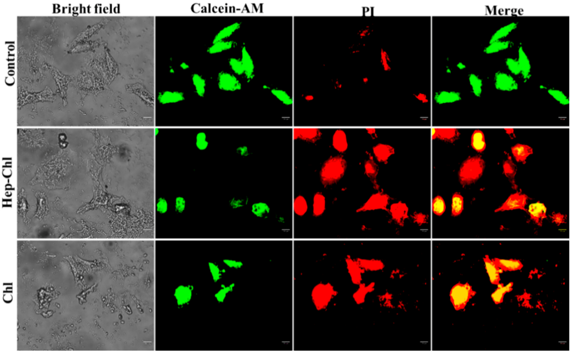 Polymers 12 00043 g007 Polymers 12 00043 g007