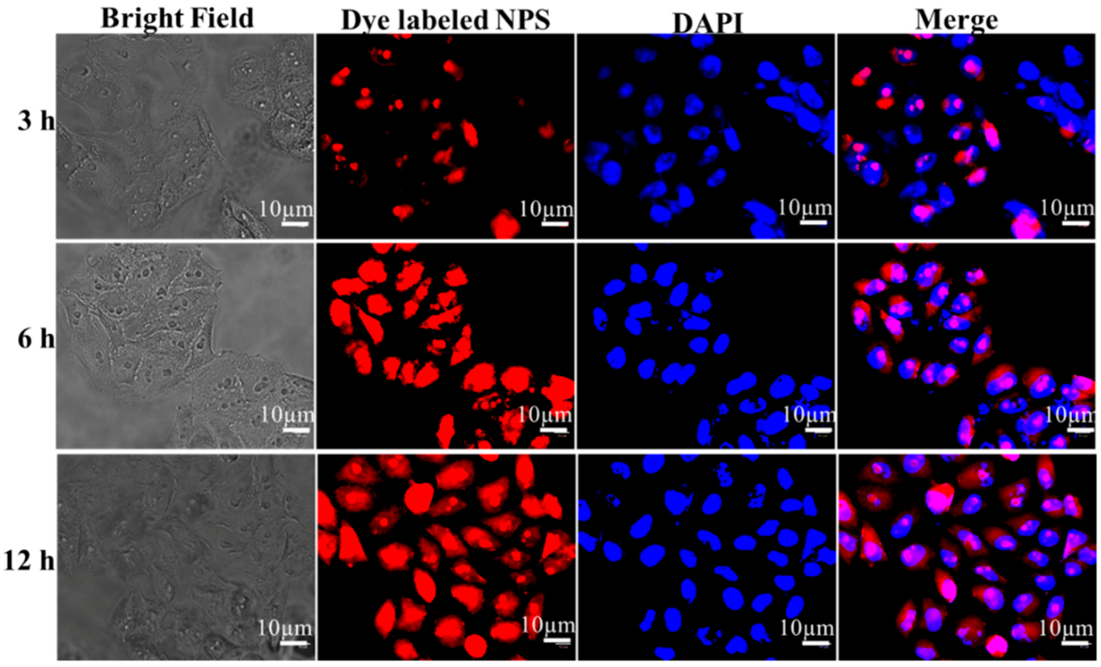 Polymers 12 00043 g008 Polymers 12 00043 g008