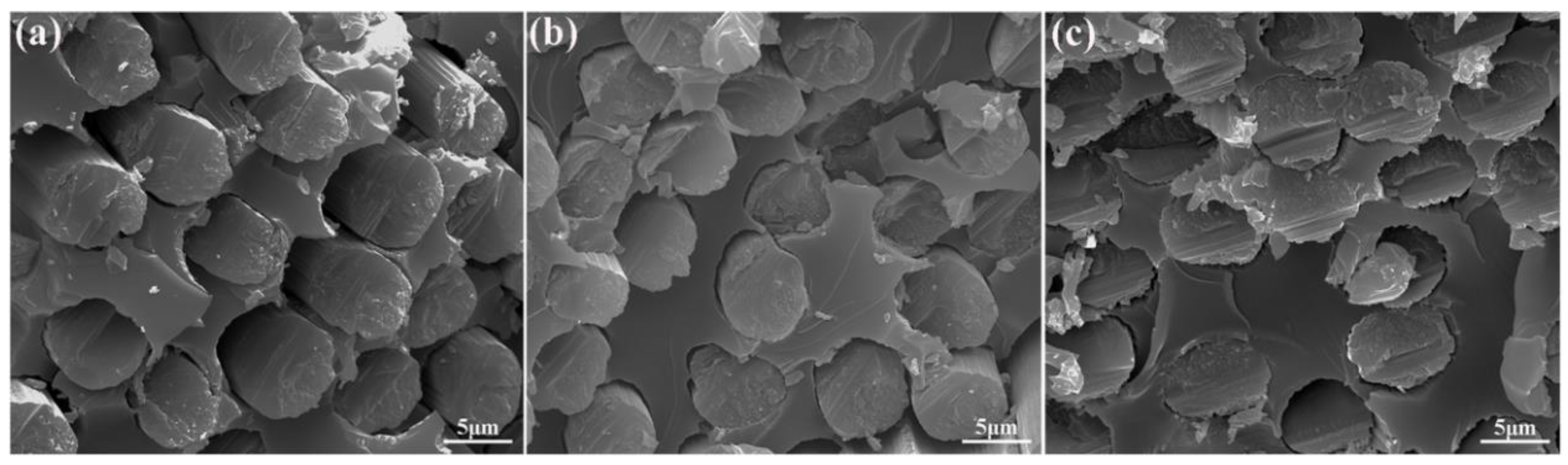 Polymers 12 00045 g006 Polymers 12 00045 g006