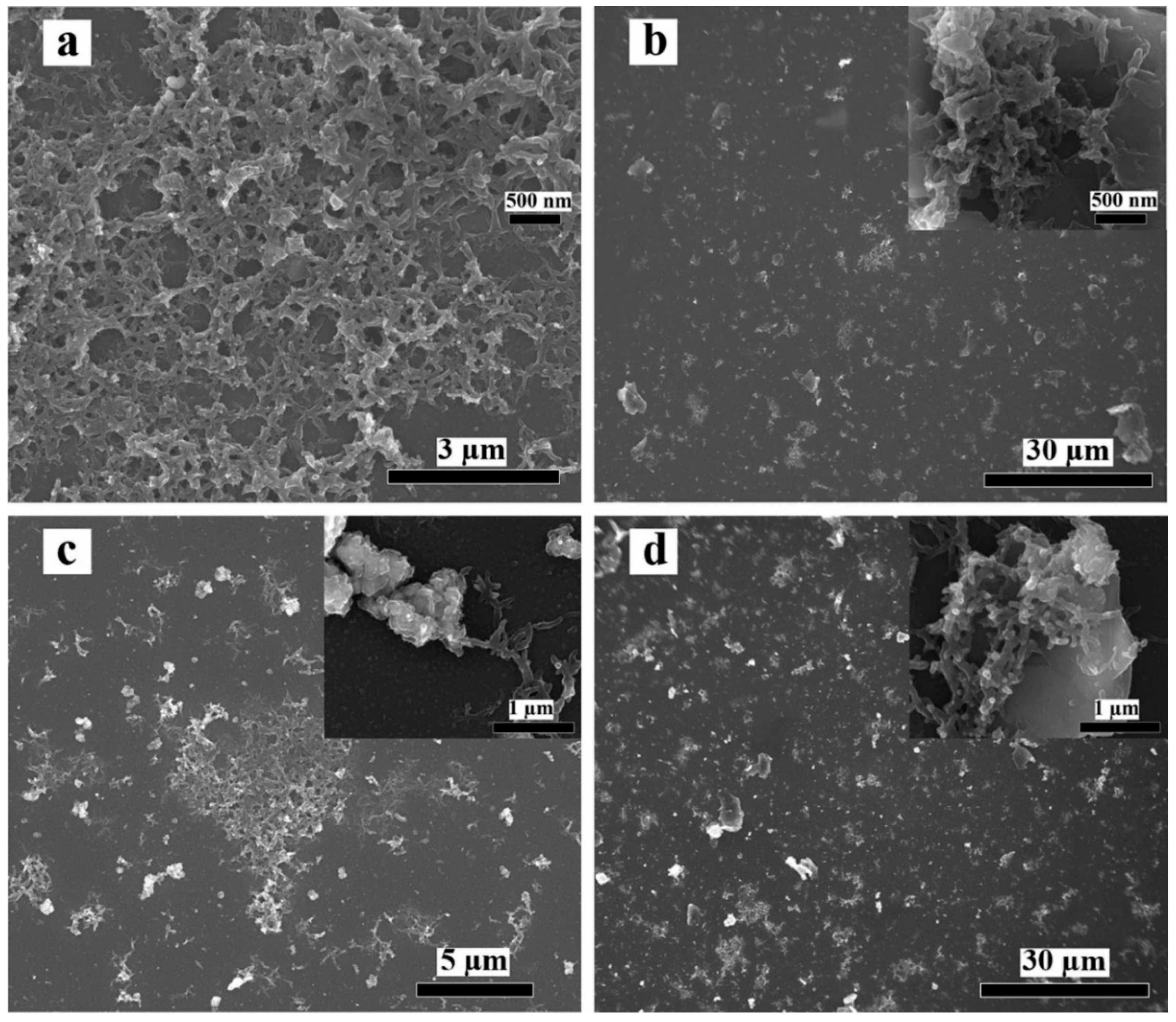 Polymers 12 00049 g003 Polymers 12 00049 g003
