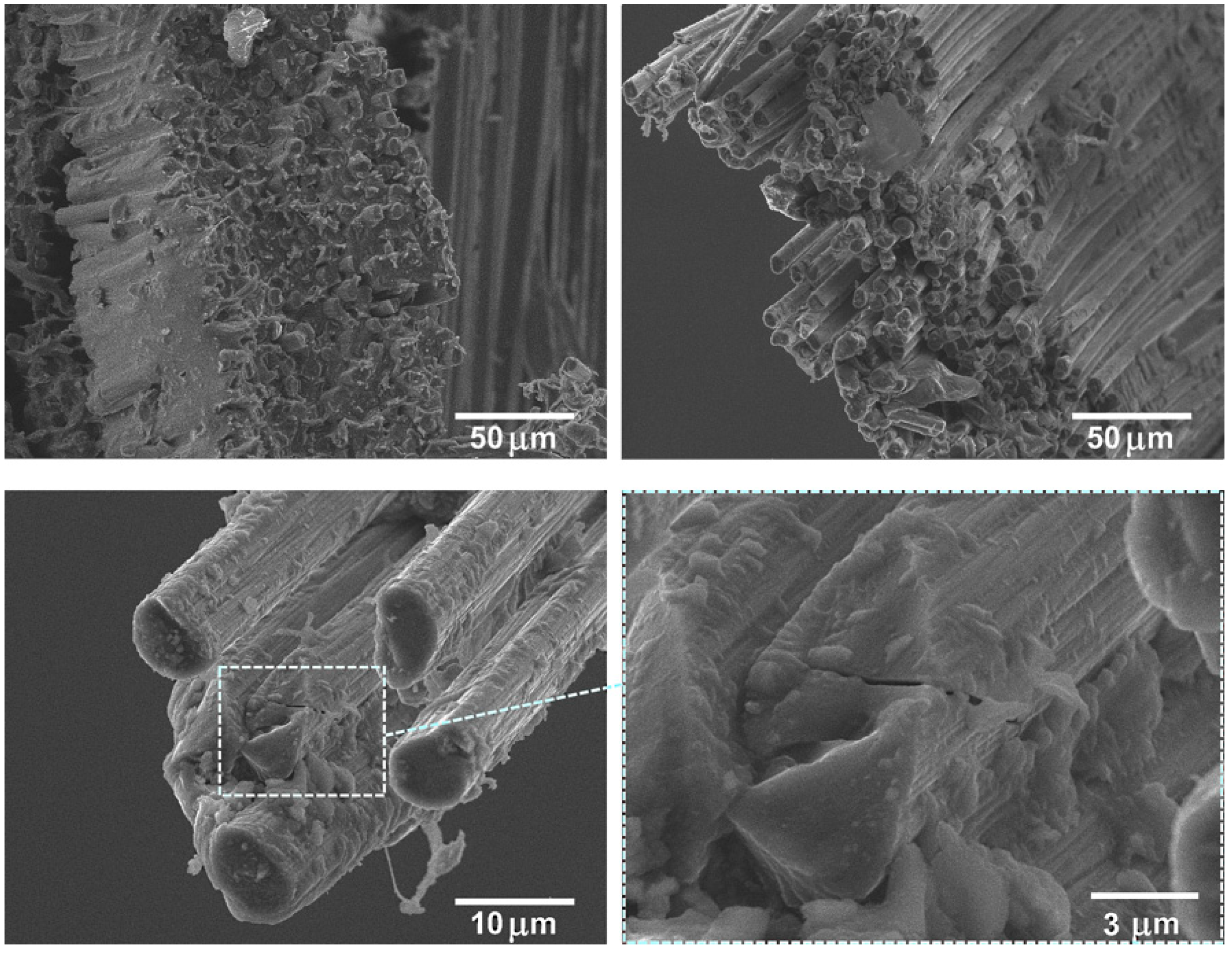 Polymers 12 00050 g008 Polymers 12 00050 g008