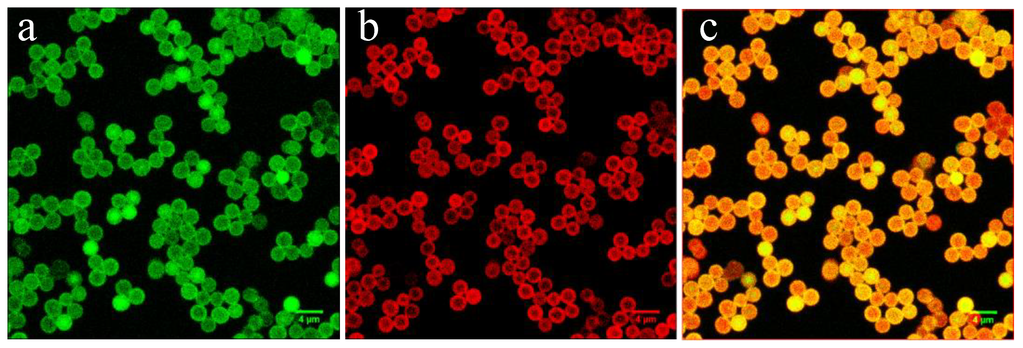 Polymers 12 00051 g005