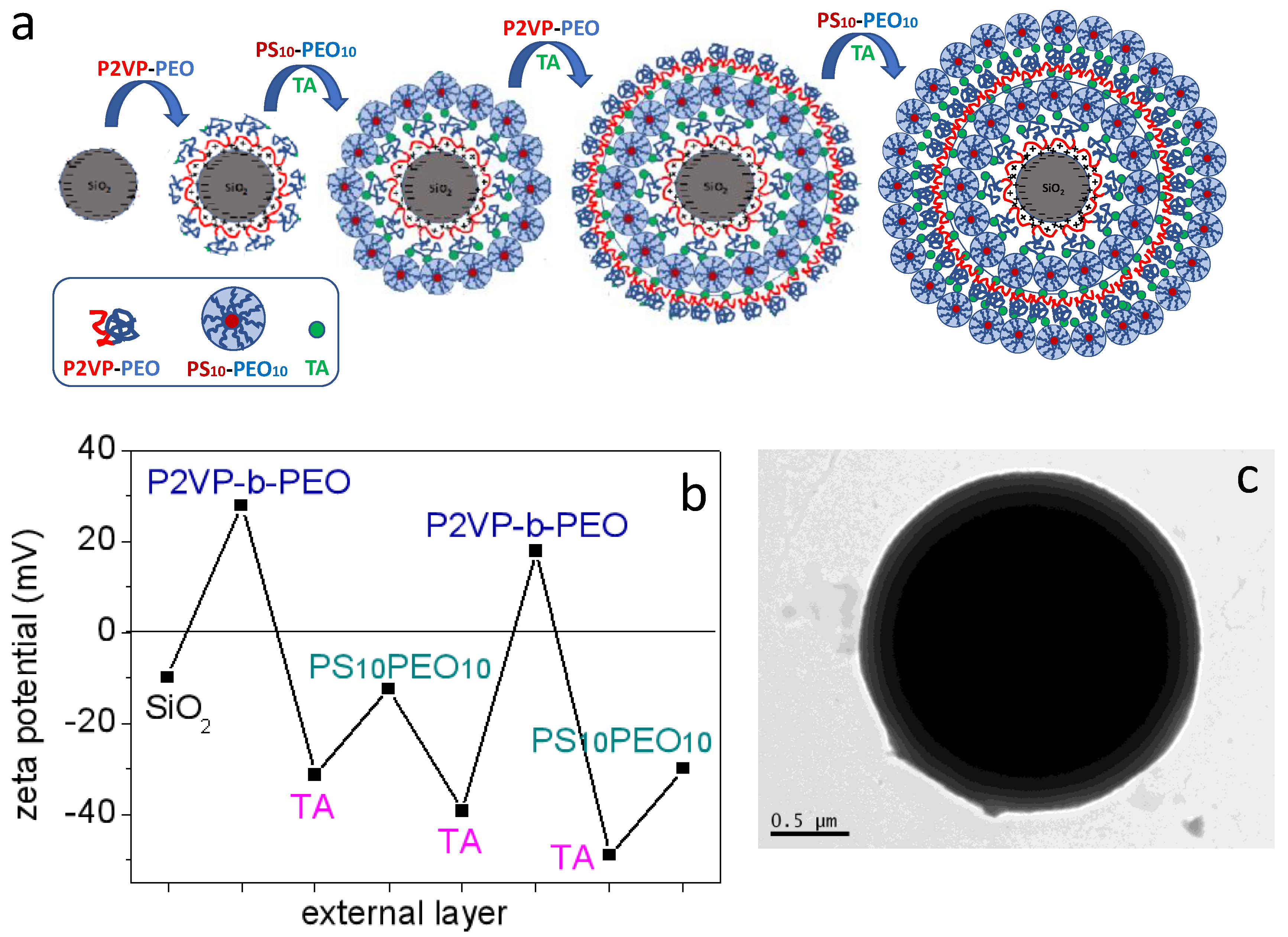 Polymers 12 00051 g006