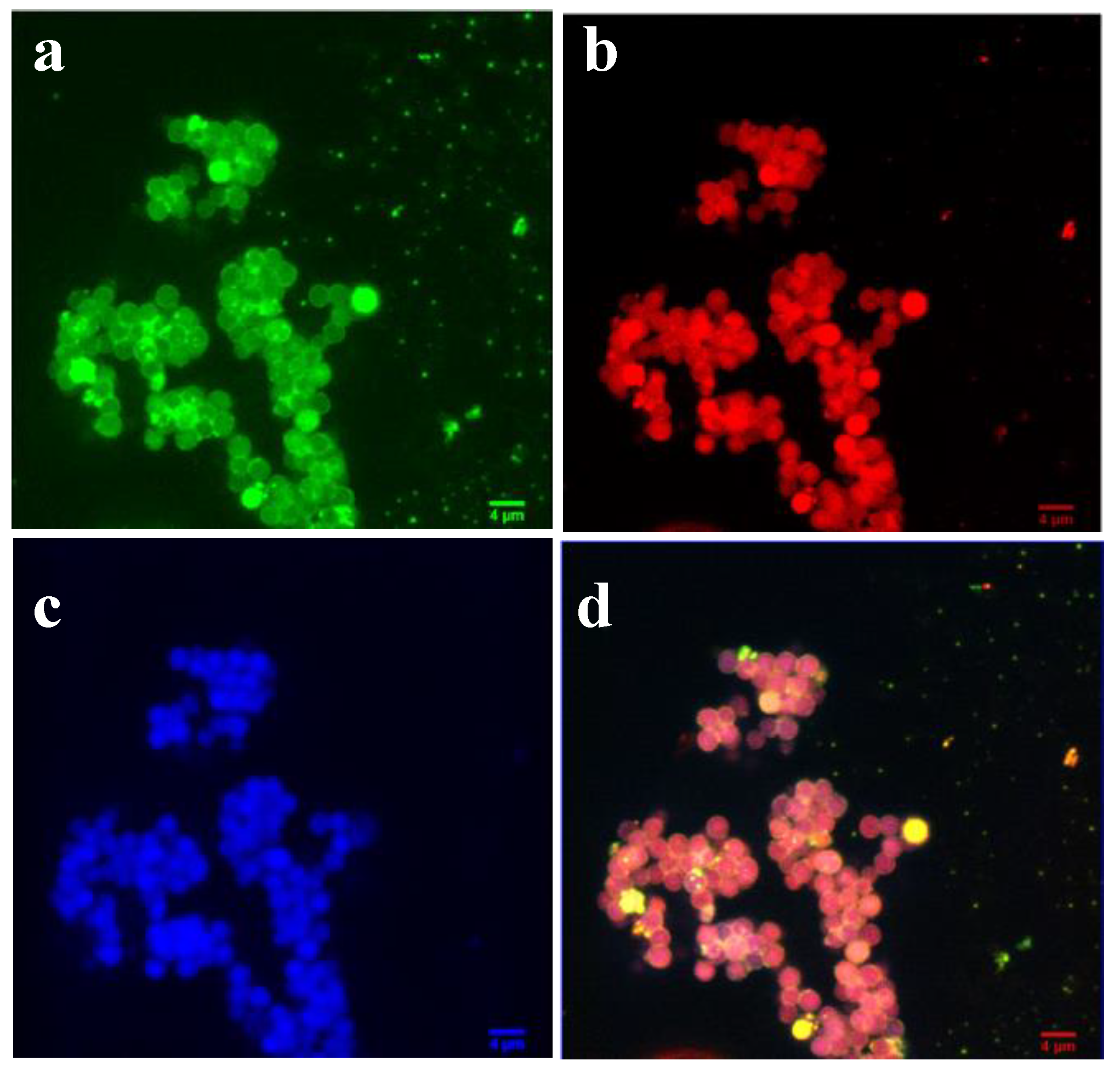 Polymers 12 00051 g007