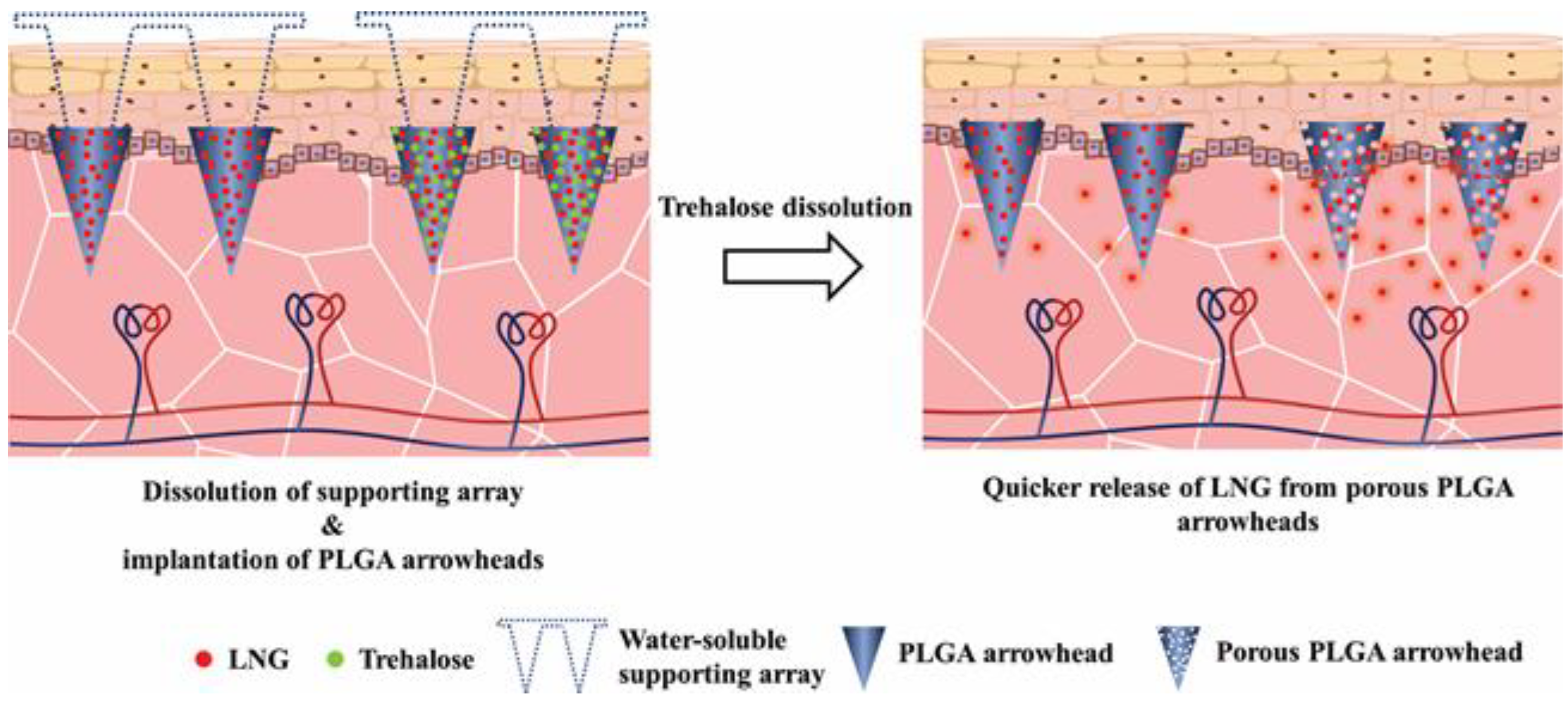 Polymers 12 00059 g001