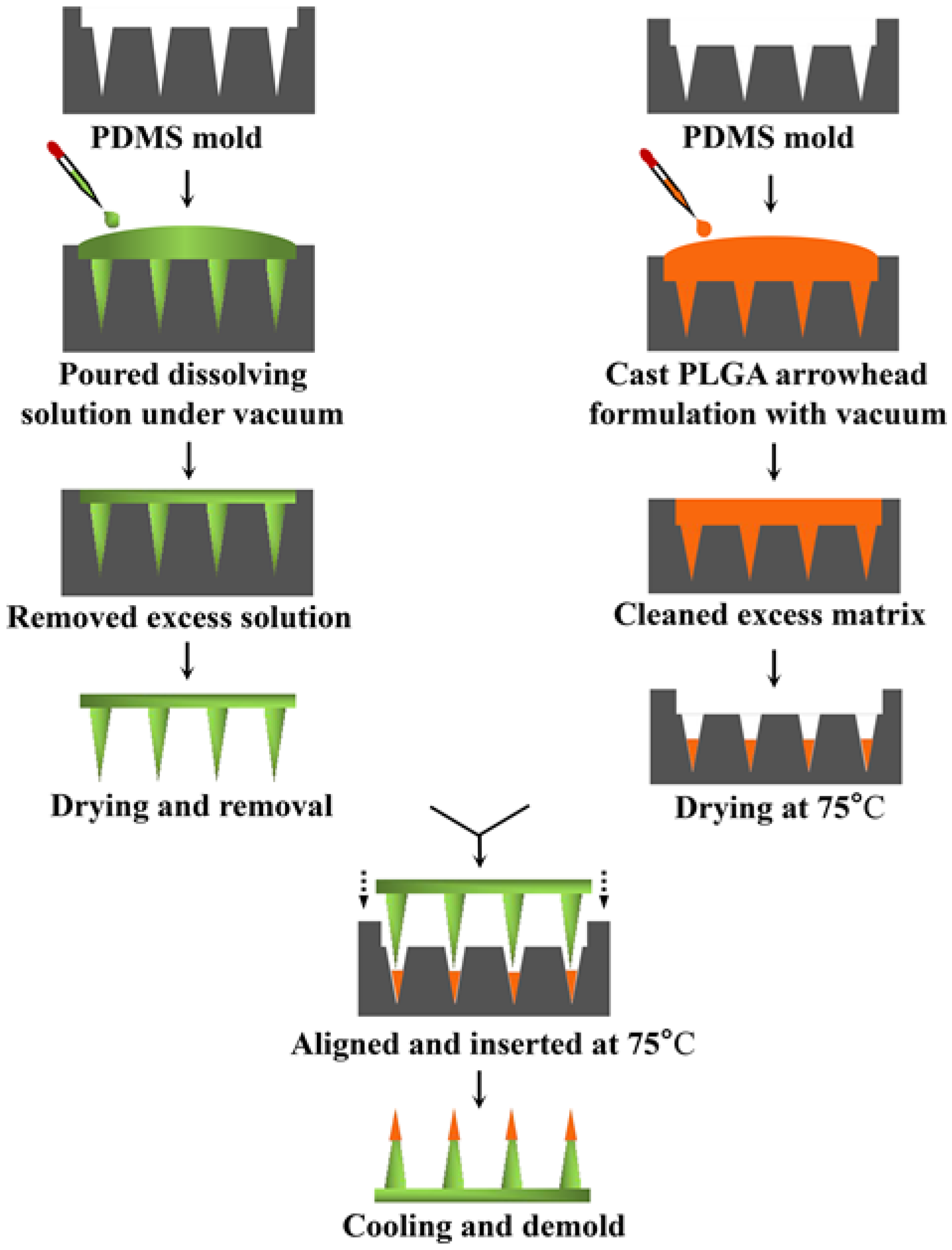 Polymers 12 00059 g002