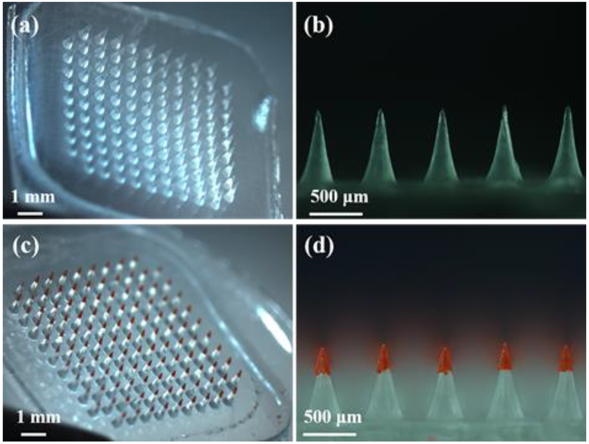 Polymers 12 00059 g003