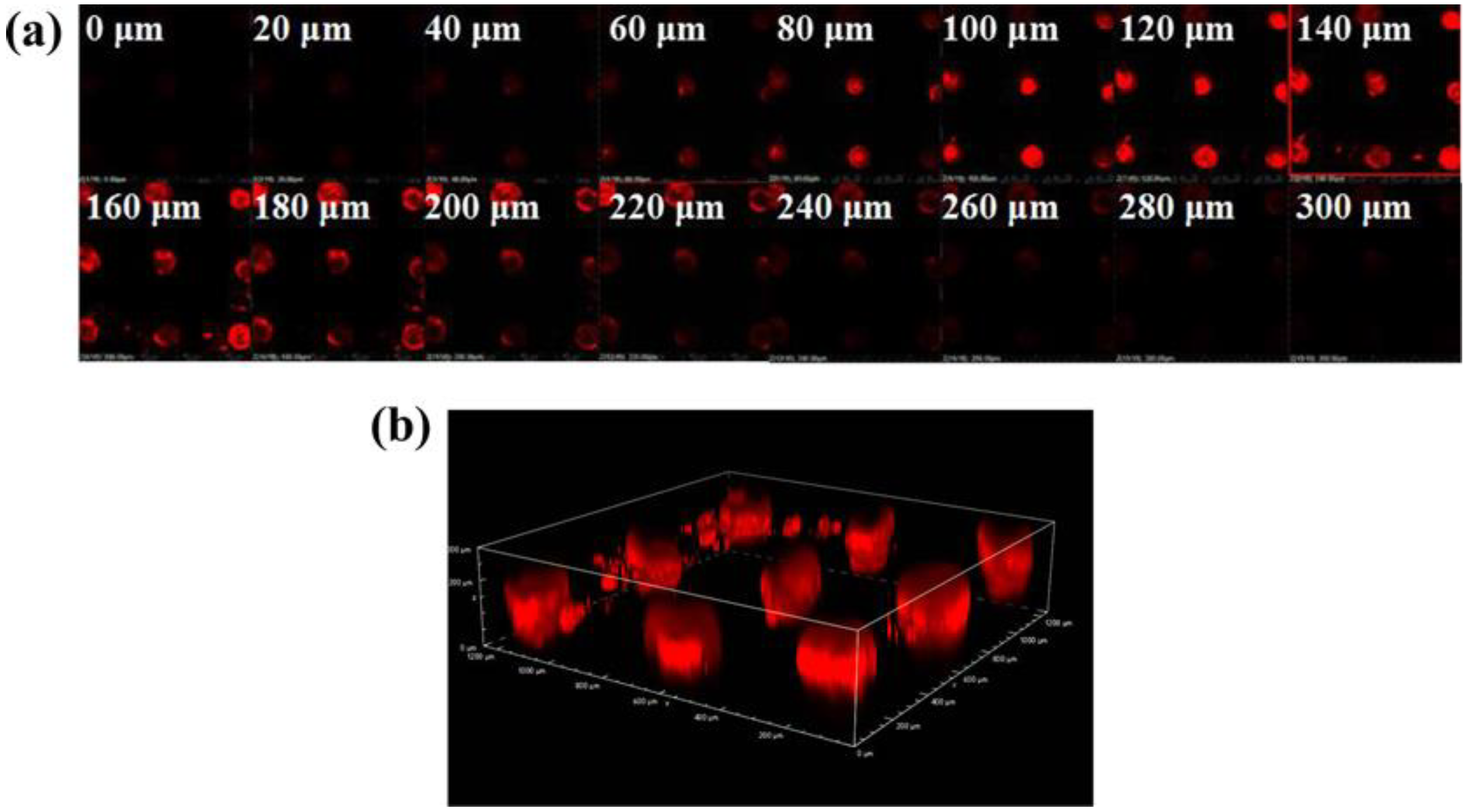 Polymers 12 00059 g004