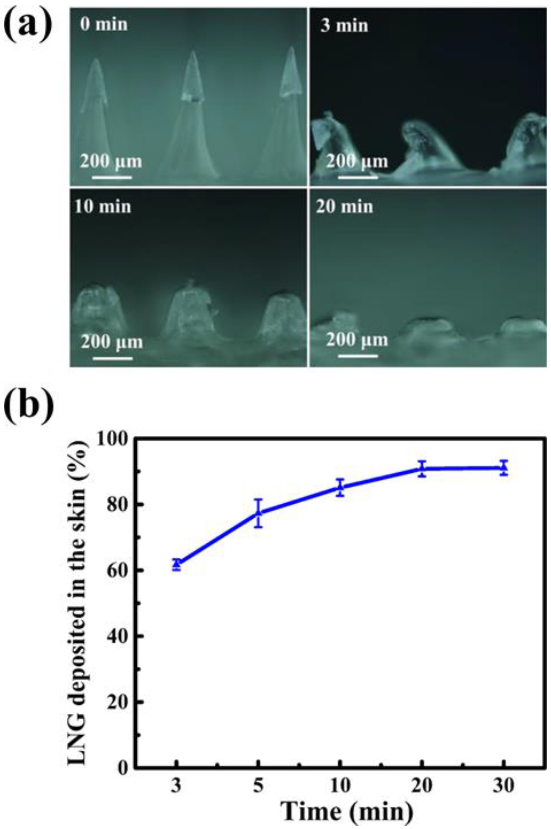 Polymers 12 00059 g005