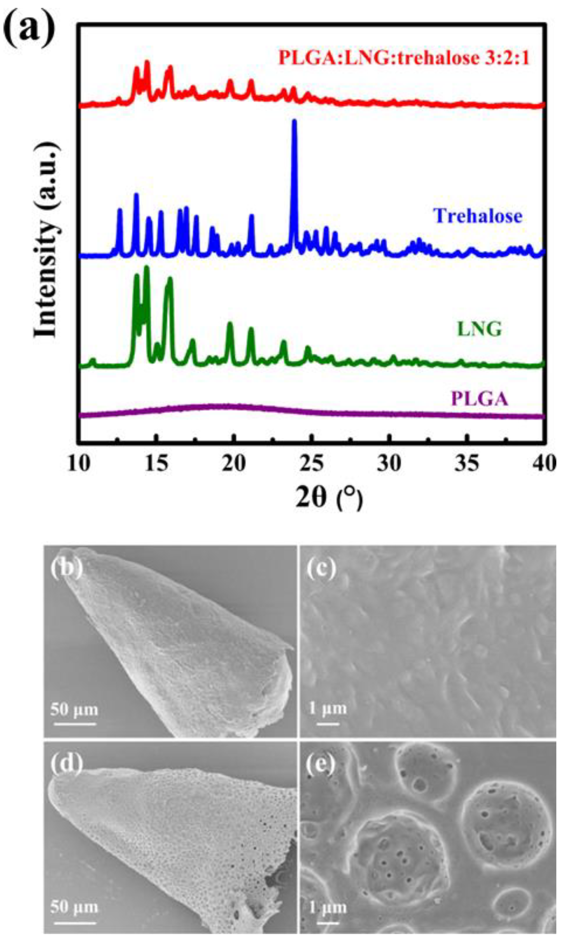 Polymers 12 00059 g006