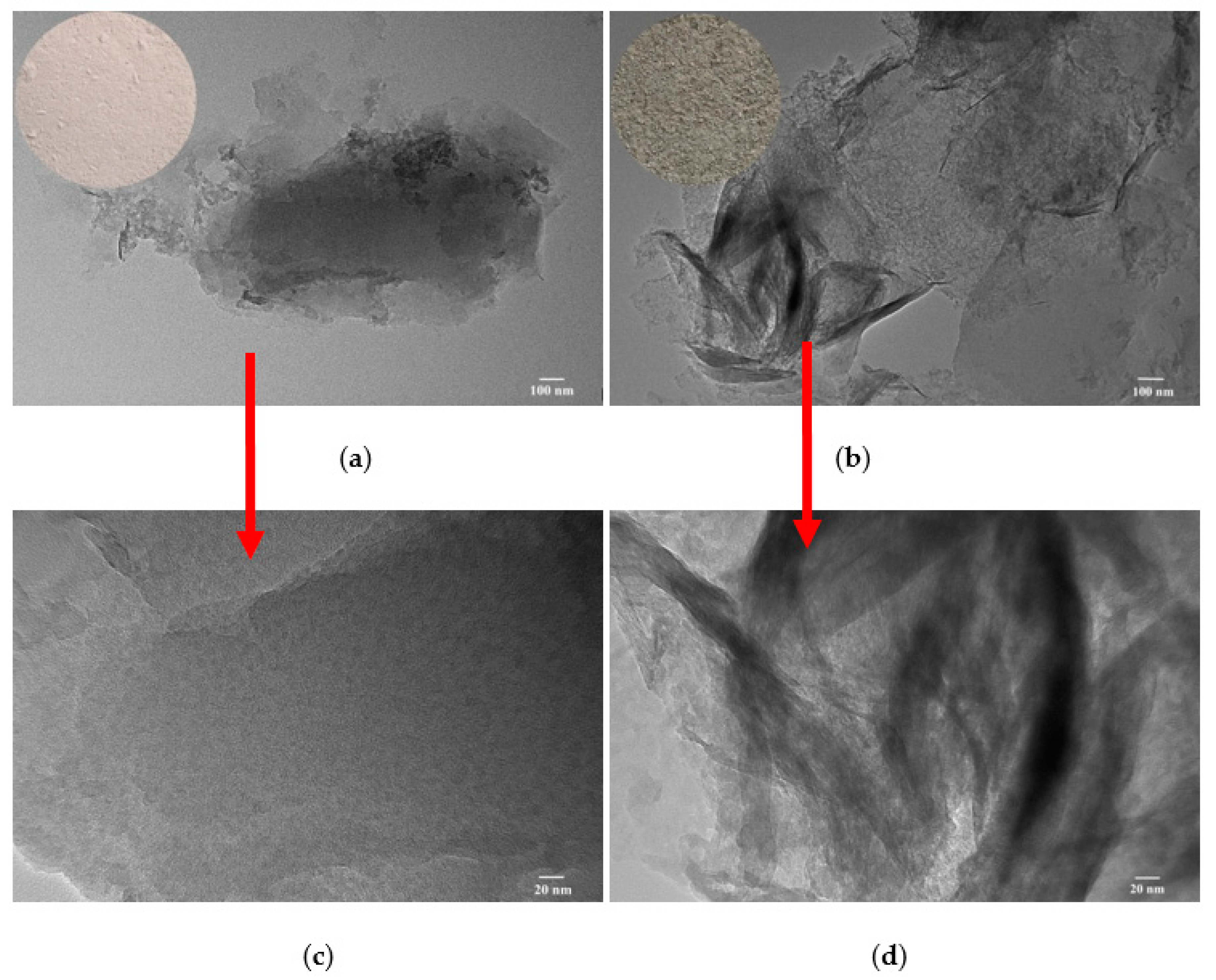 Polymers 12 00060 g005
