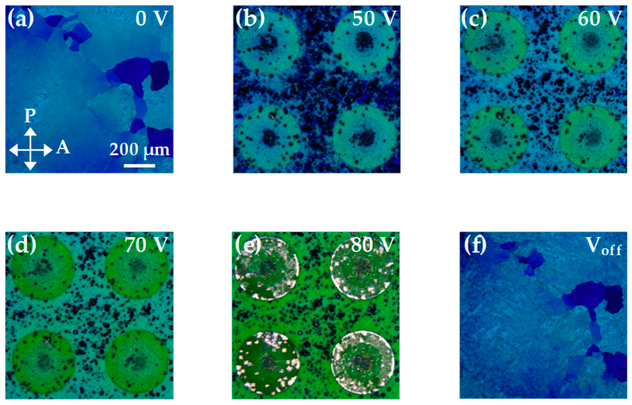Polymers 12 00065 g004 Polymers 12 00065 g004