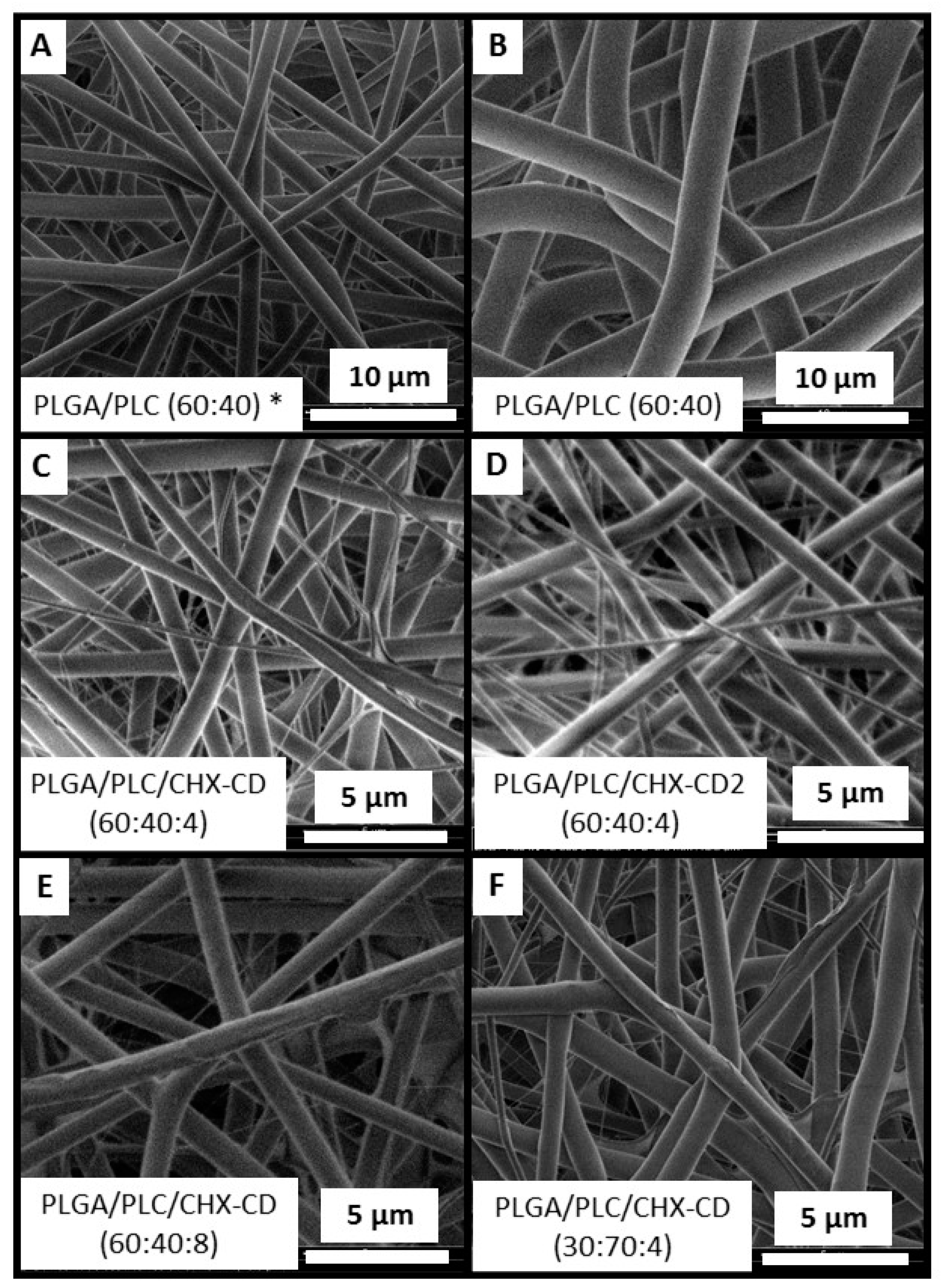 Polymers 12 00066 g003
