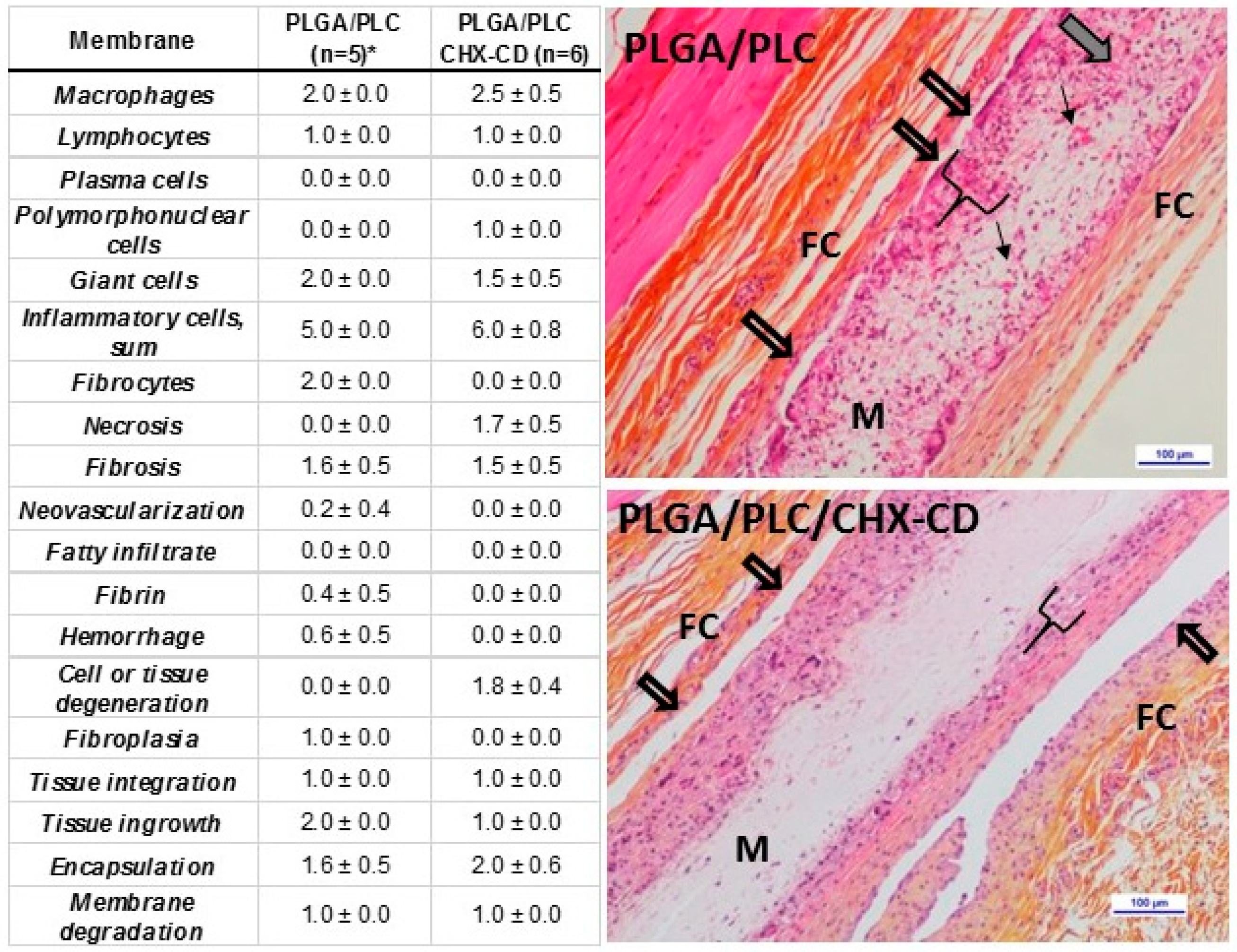 Polymers 12 00066 g011
