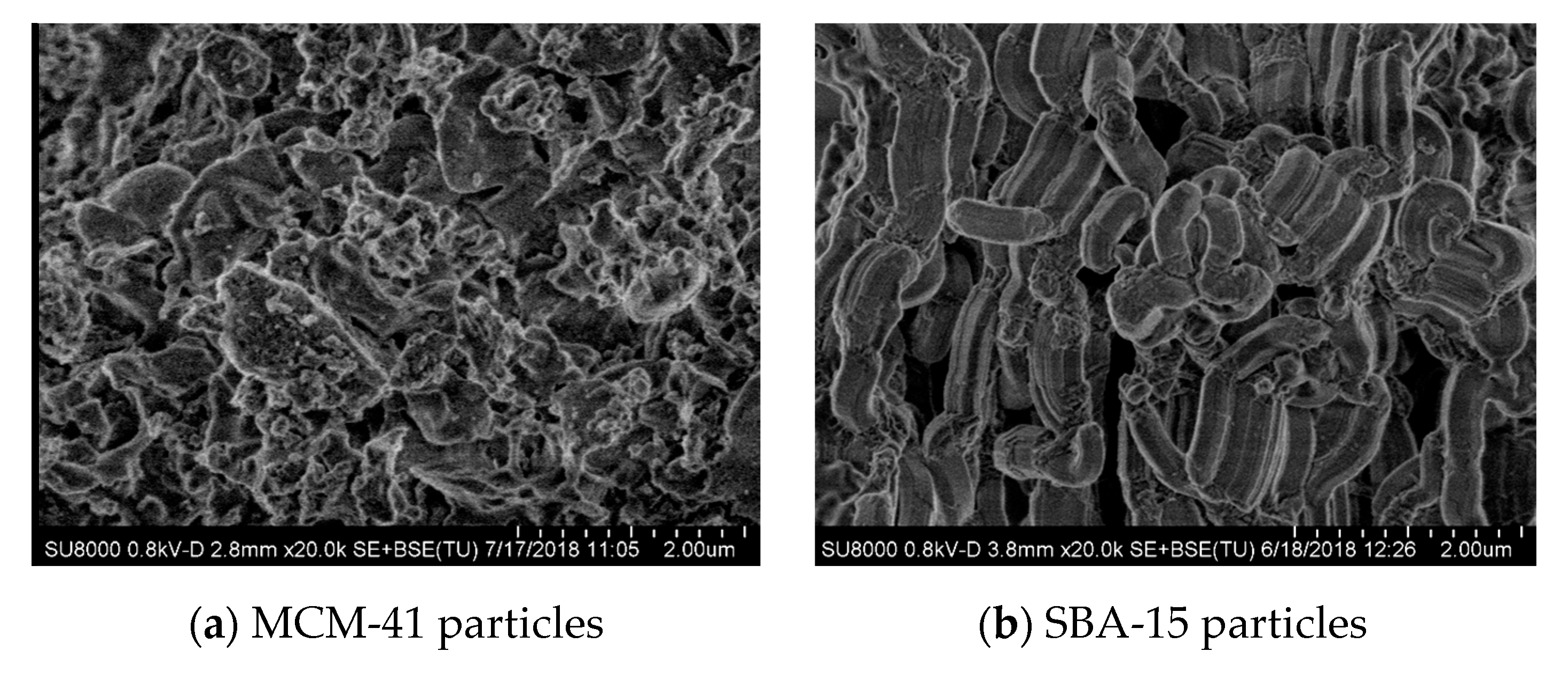 Polymers 12 00070 g001a