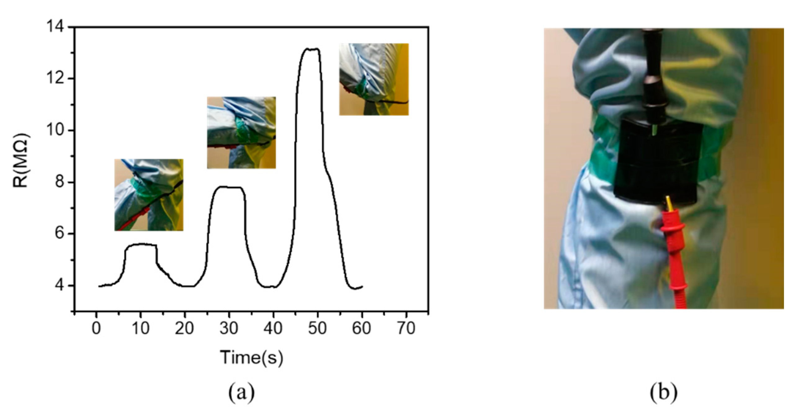 Polymers 12 00071 g006