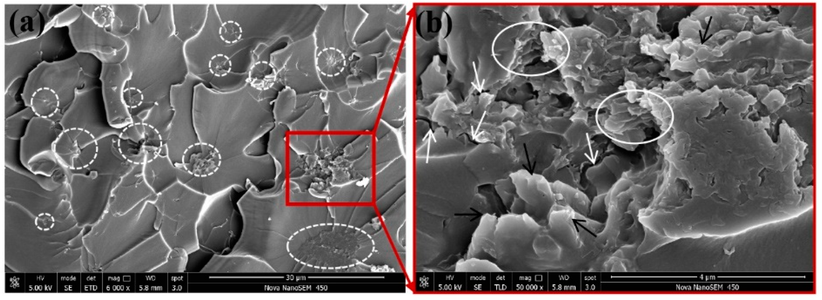 Polymers 12 00076 g009 Polymers 12 00076 g009