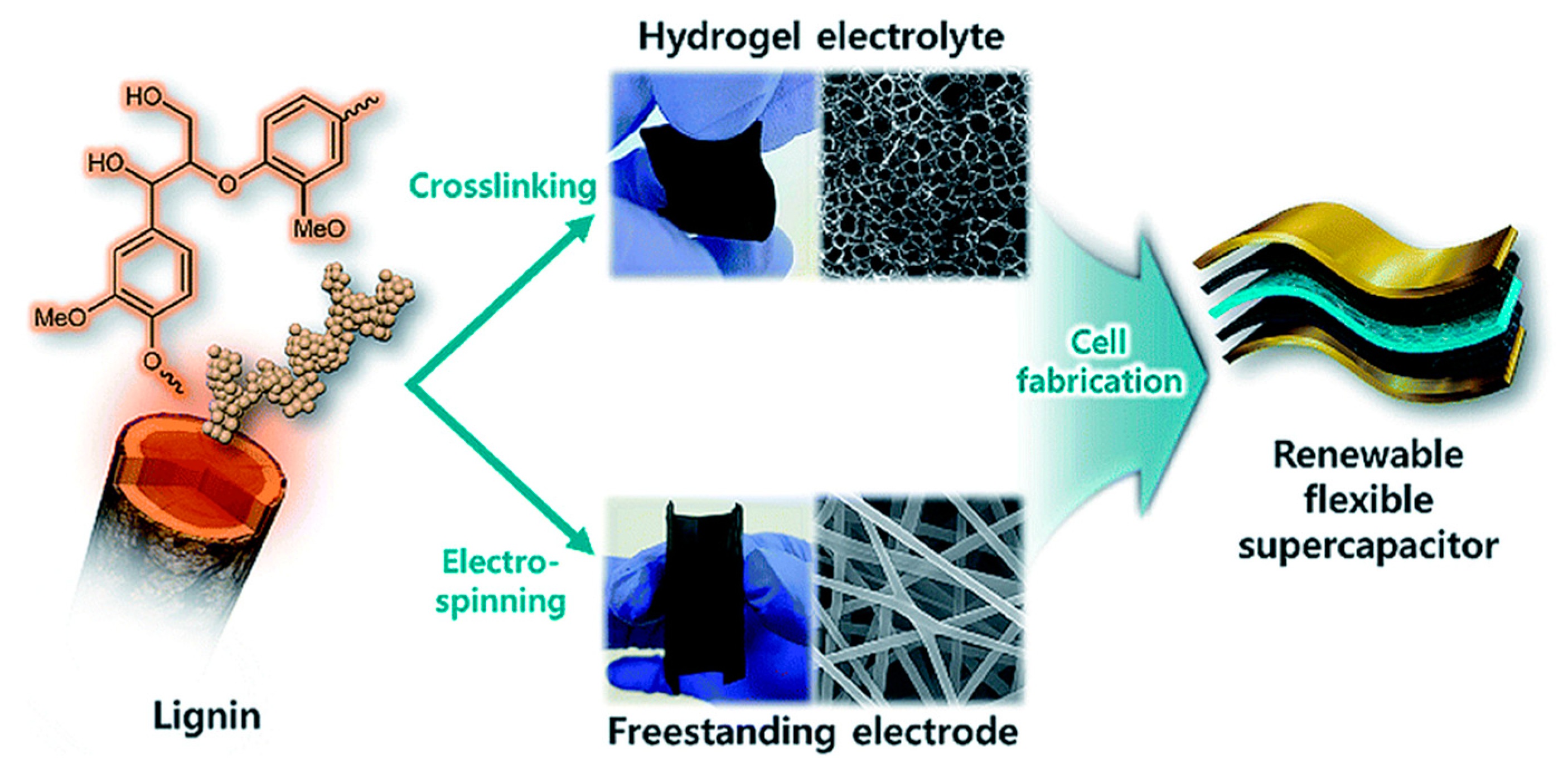 Polymers 12 00081 g013 Polymers 12 00081 g013