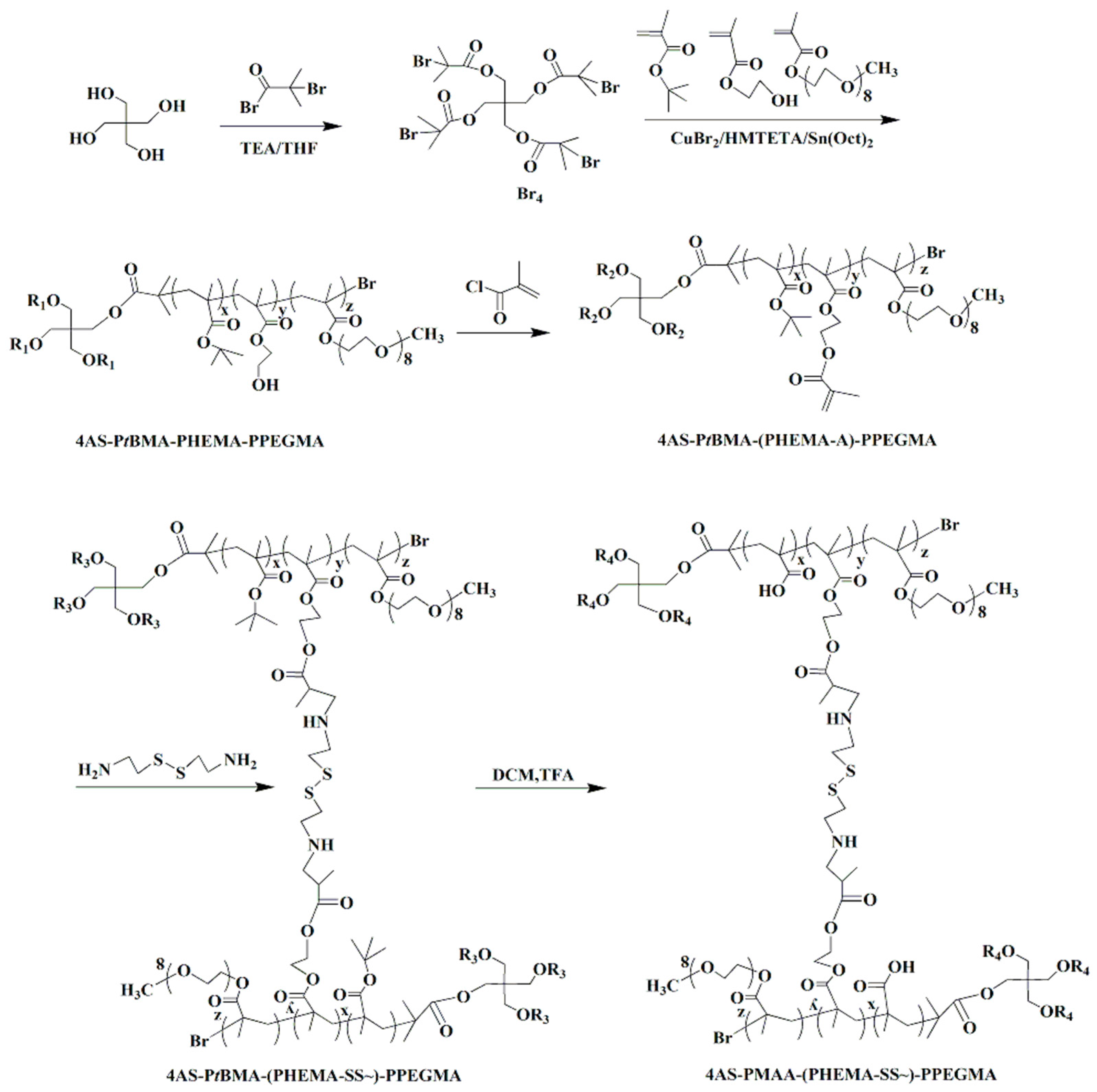 Polymers 12 00082 sch002