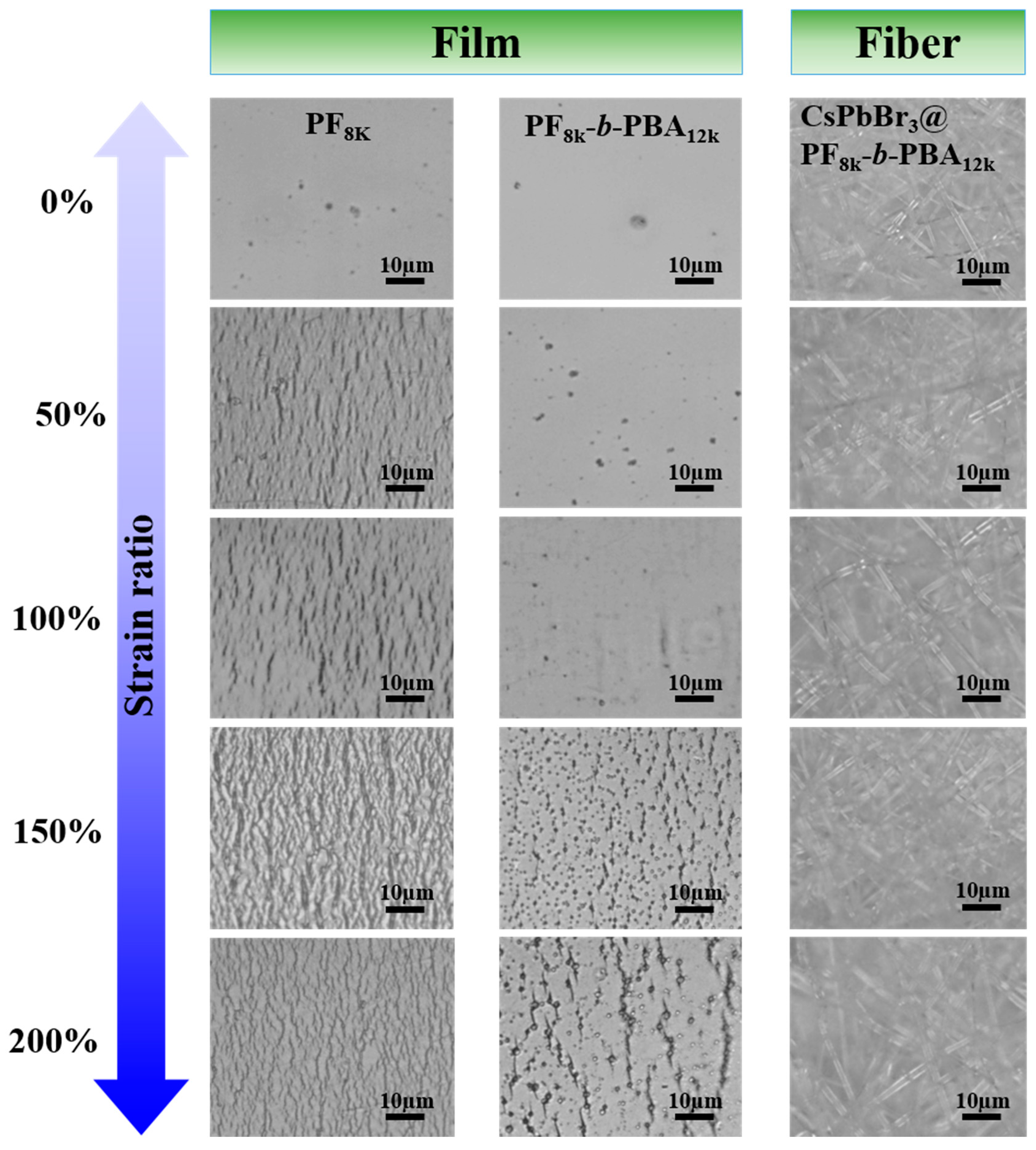Polymers 12 00084 g003 Polymers 12 00084 g003