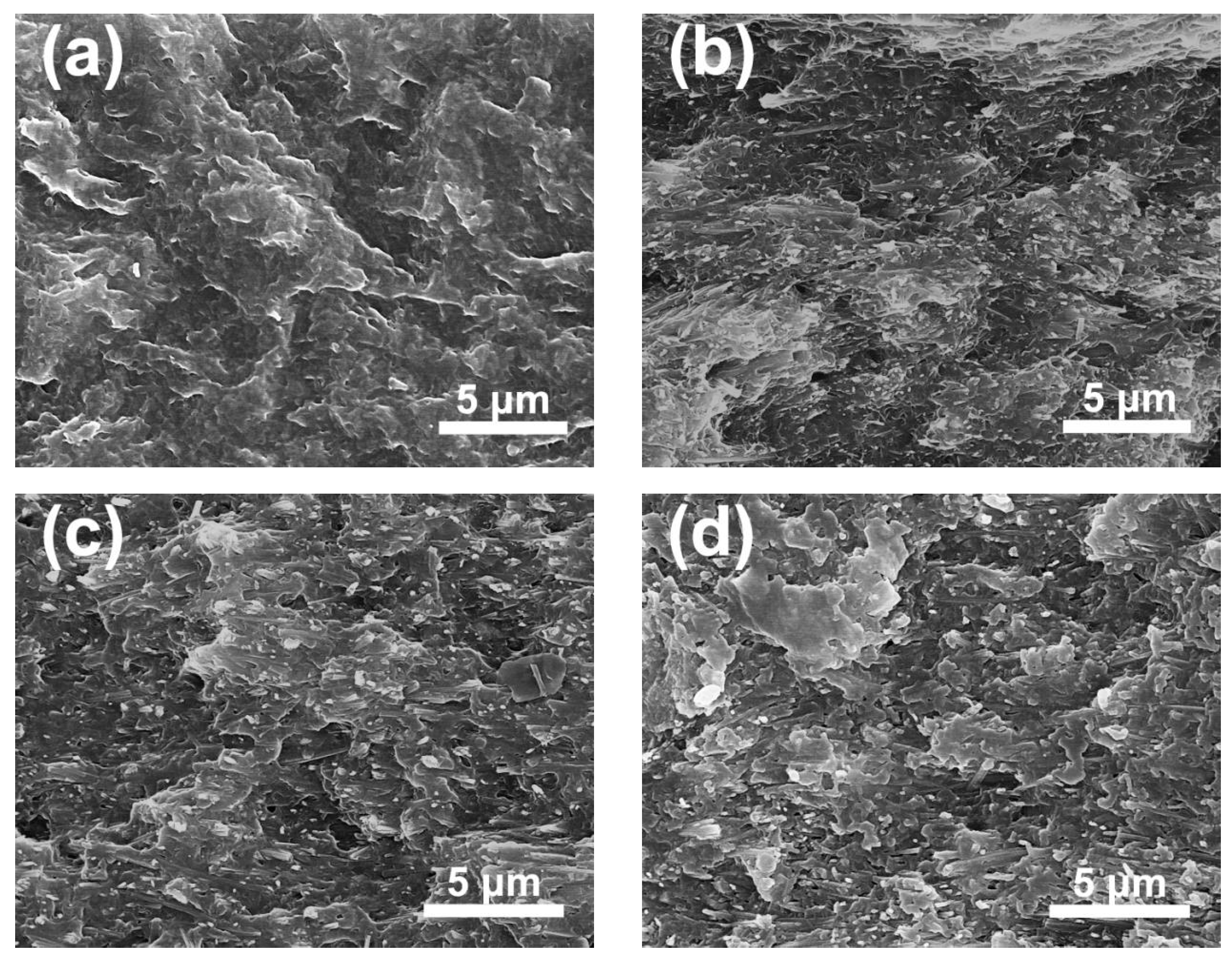 Polymers 12 00085 g004a Polymers 12 00085 g004a