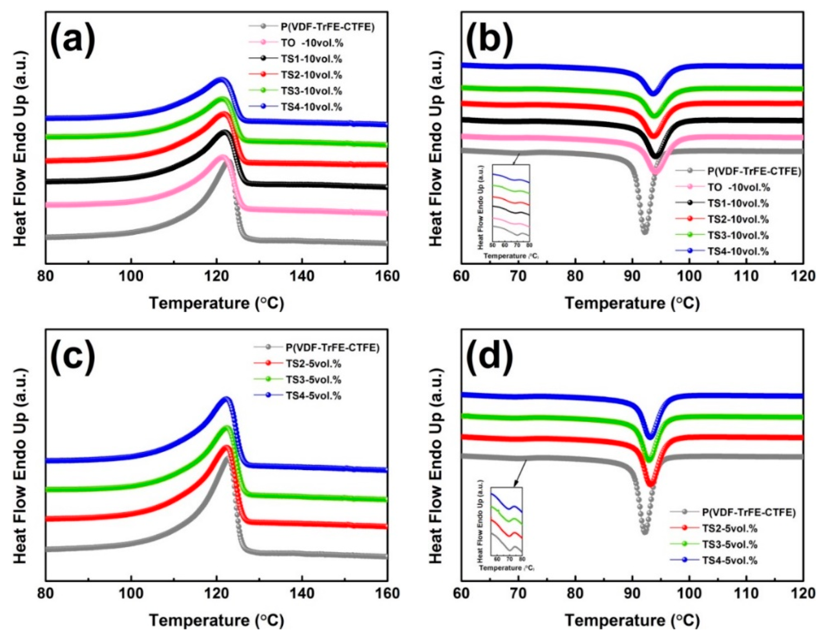 Dielectric Properties of P(VDF-TrFE-CTFE) Composites Filled