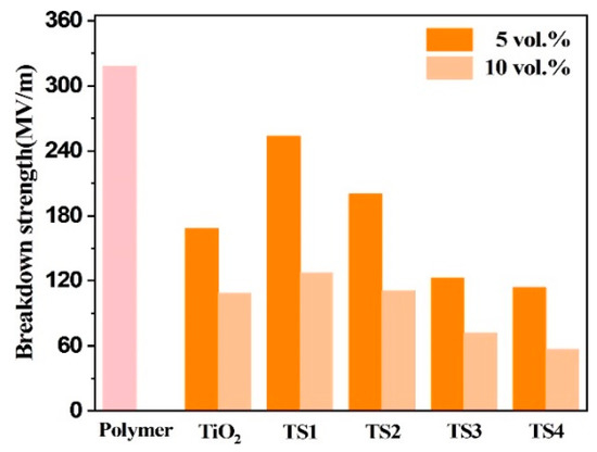 Dielectric Properties of P(VDF-TrFE-CTFE) Composites Filled