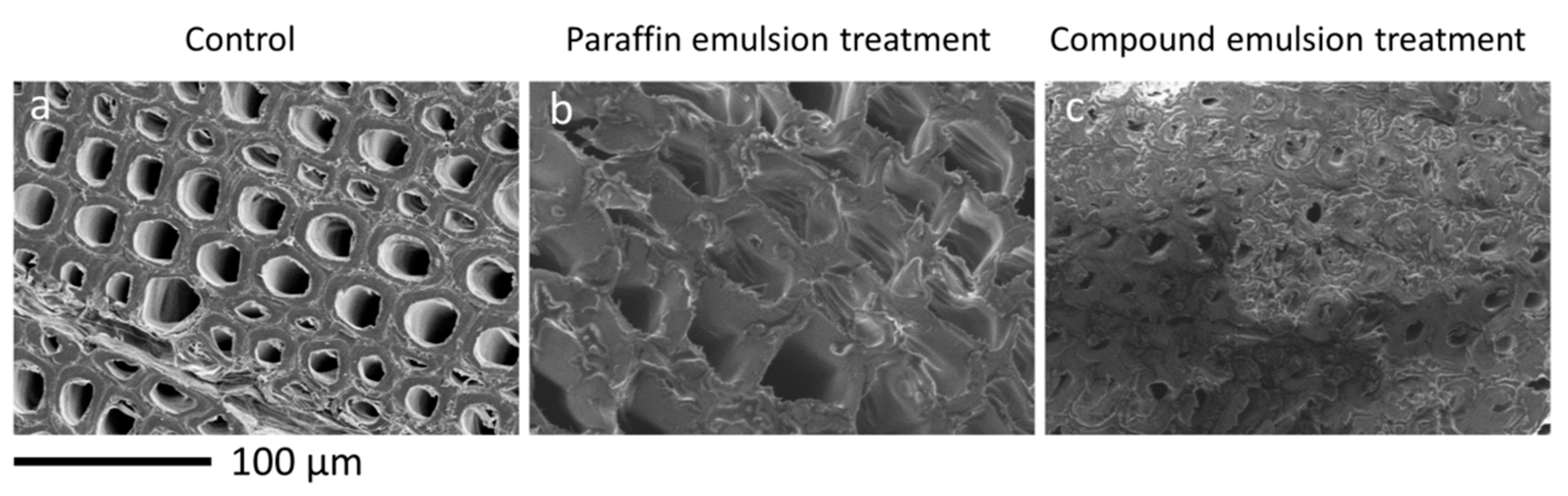 Polymers 12 00086 g006