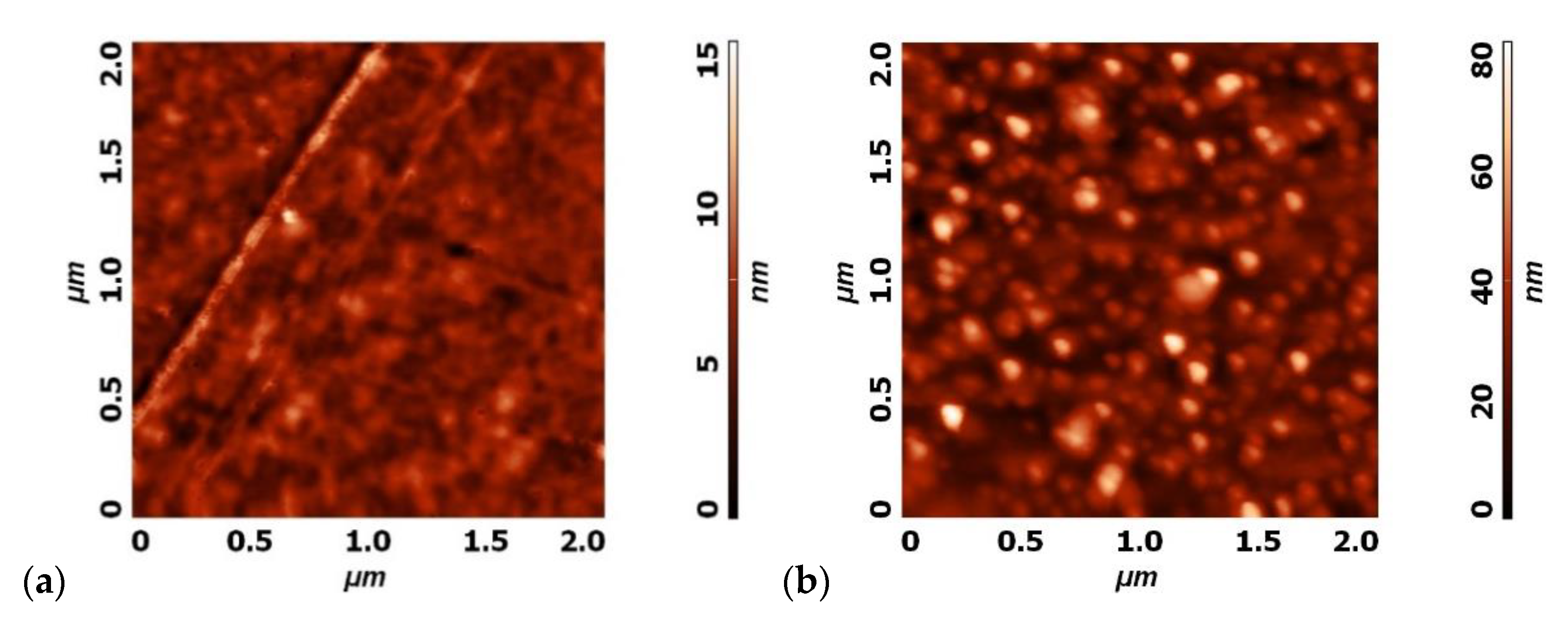 Polymers 12 00087 g015