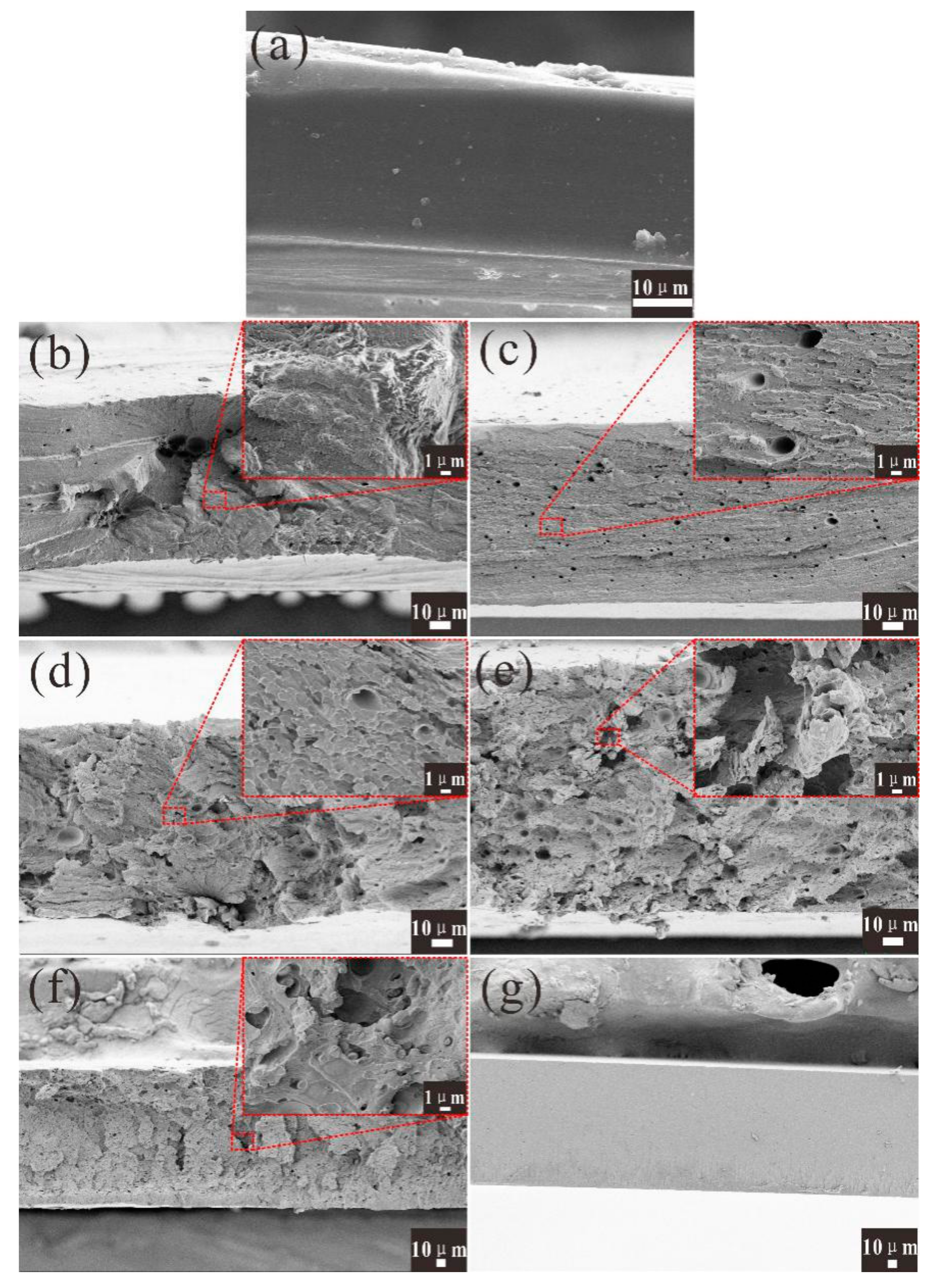 Polymers 12 00088 g005 Polymers 12 00088 g005