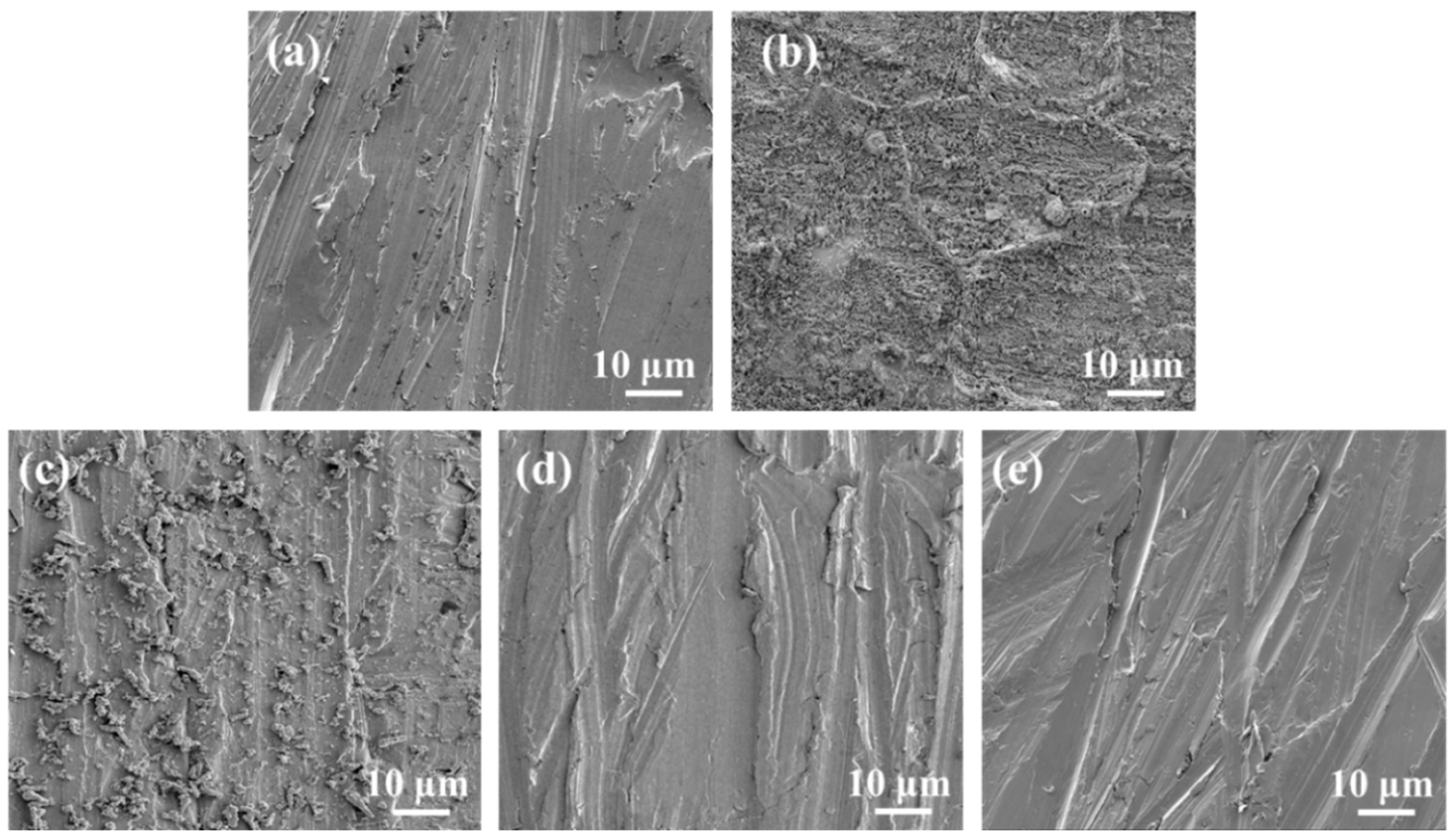 Polymers 12 00091 g009