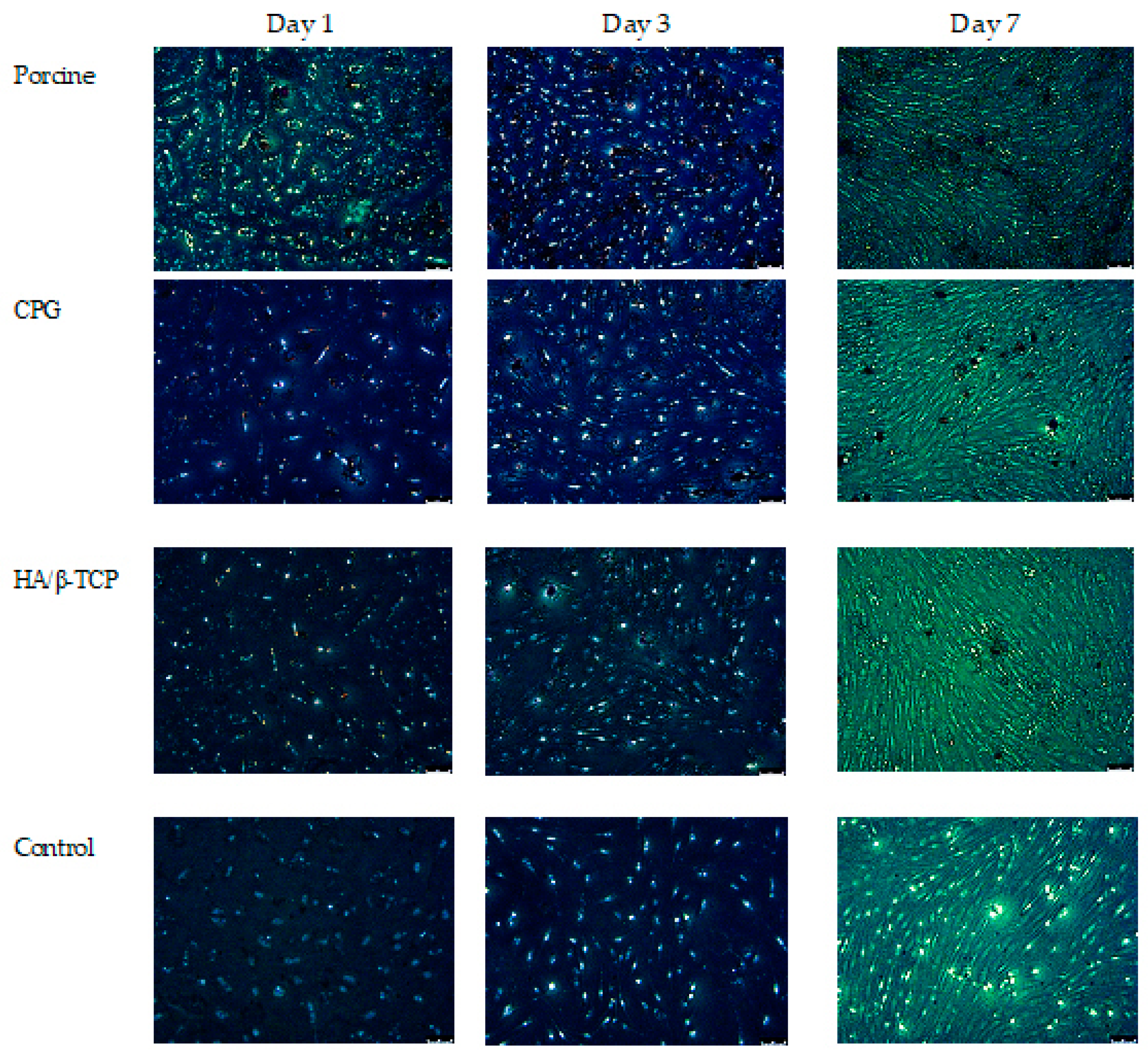 Polymers 12 00093 g003