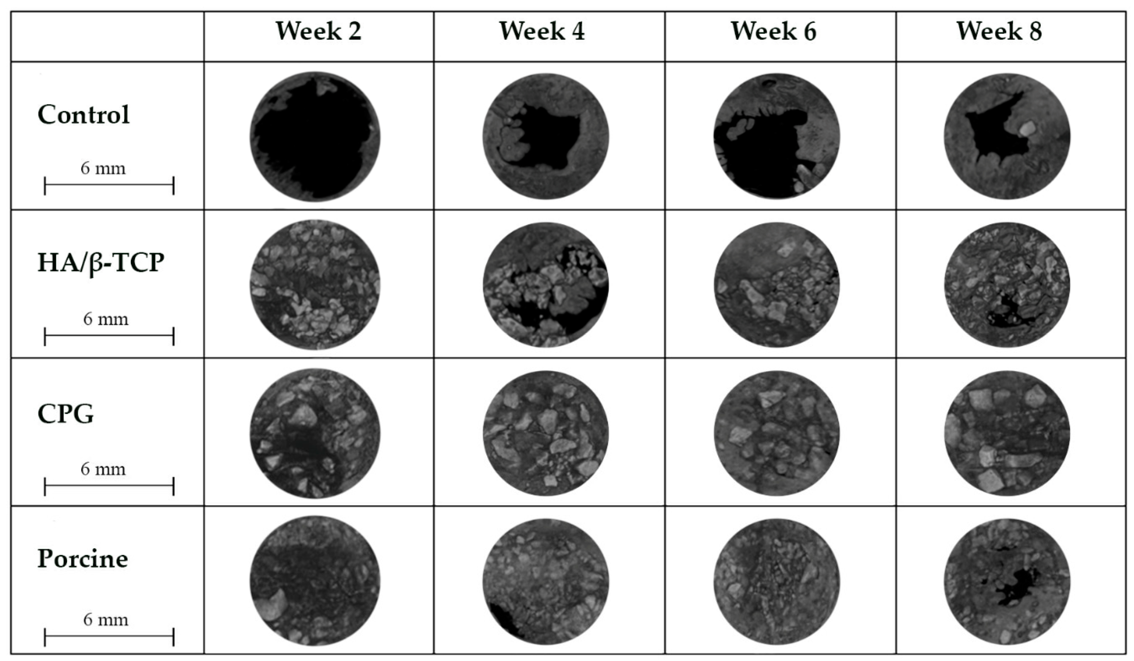 Polymers 12 00093 g006