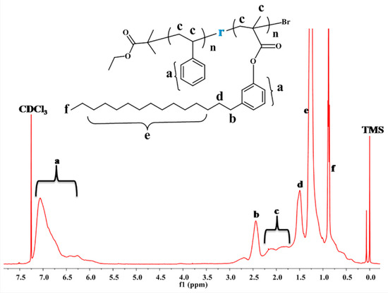 オーダー専用ページ New Advances in the Exploration of Esterases with PET and