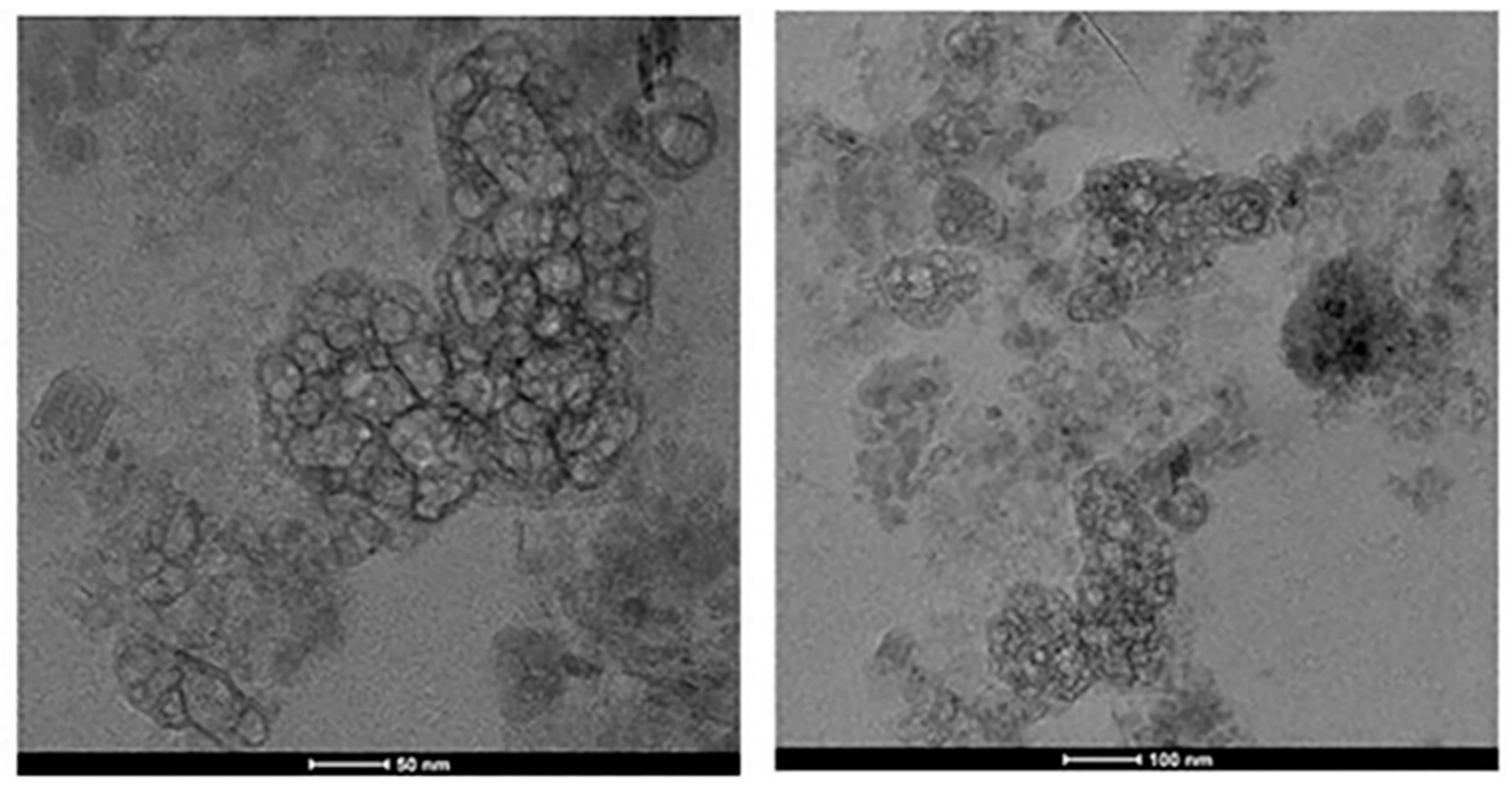 Polymers 12 00097 g006
